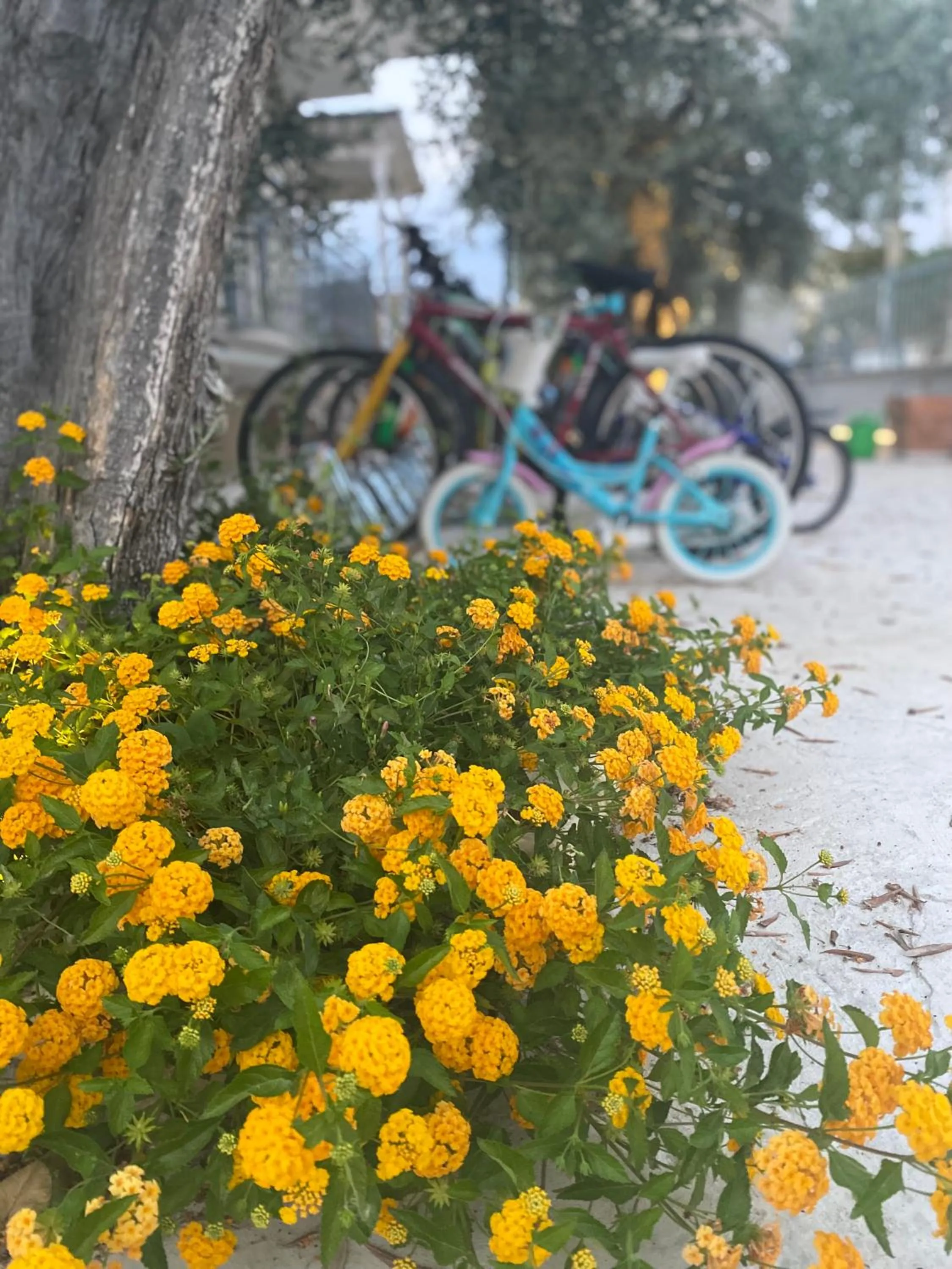 Spring in Borgo Incoronata B&B