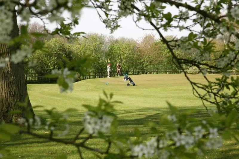 Golfcourse in Landhotel Waldseiter Hof
