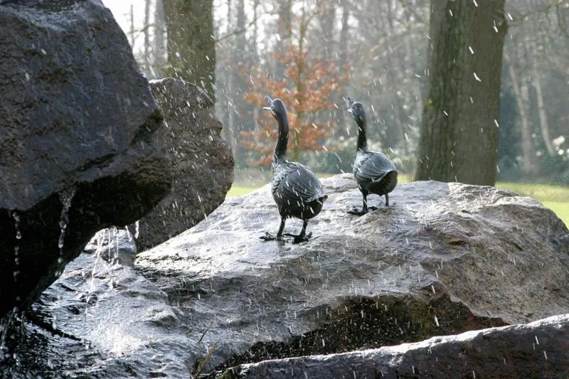 Other in Landhotel Waldseiter Hof