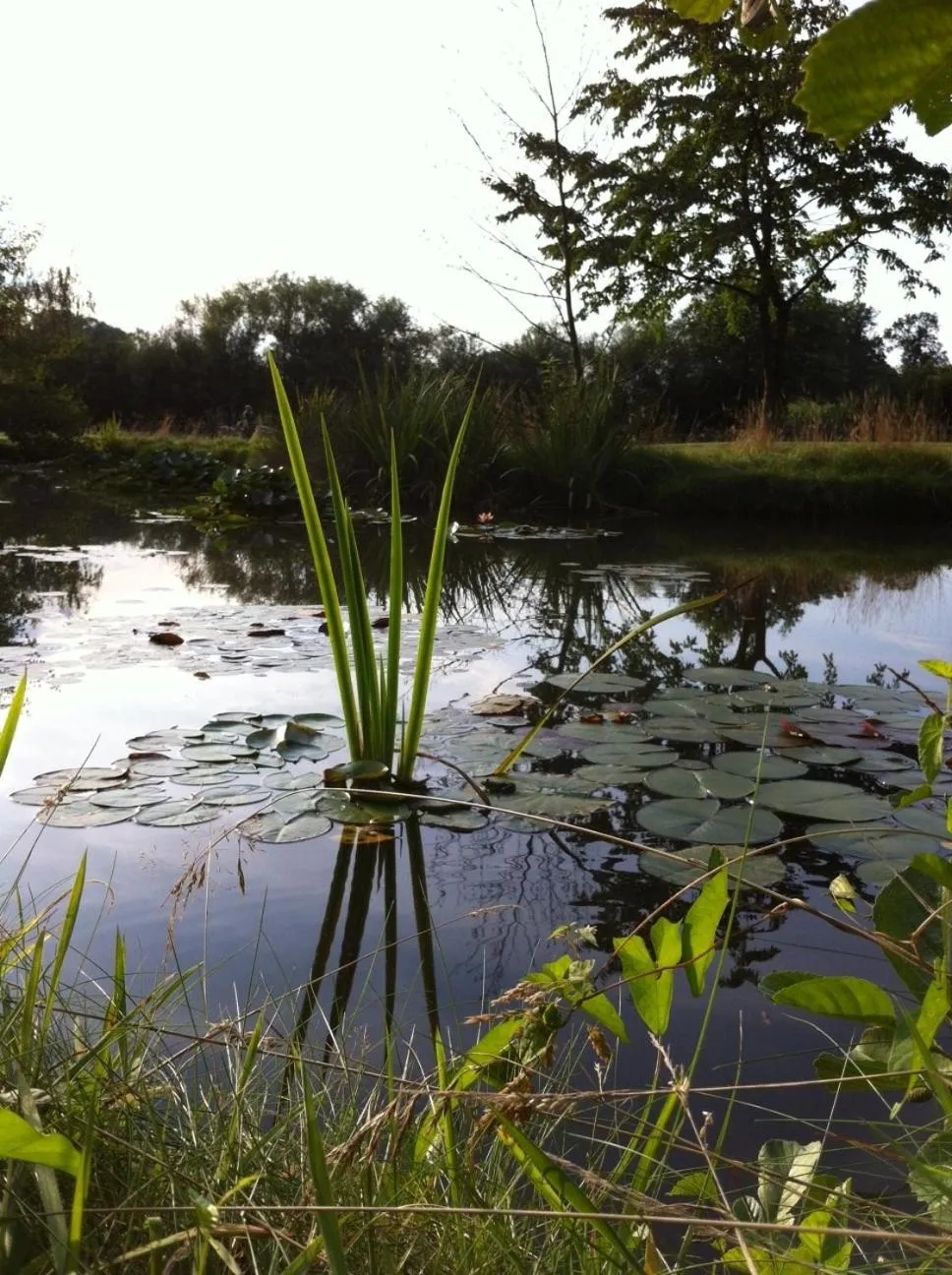 Garden in Landhotel Waldseiter Hof