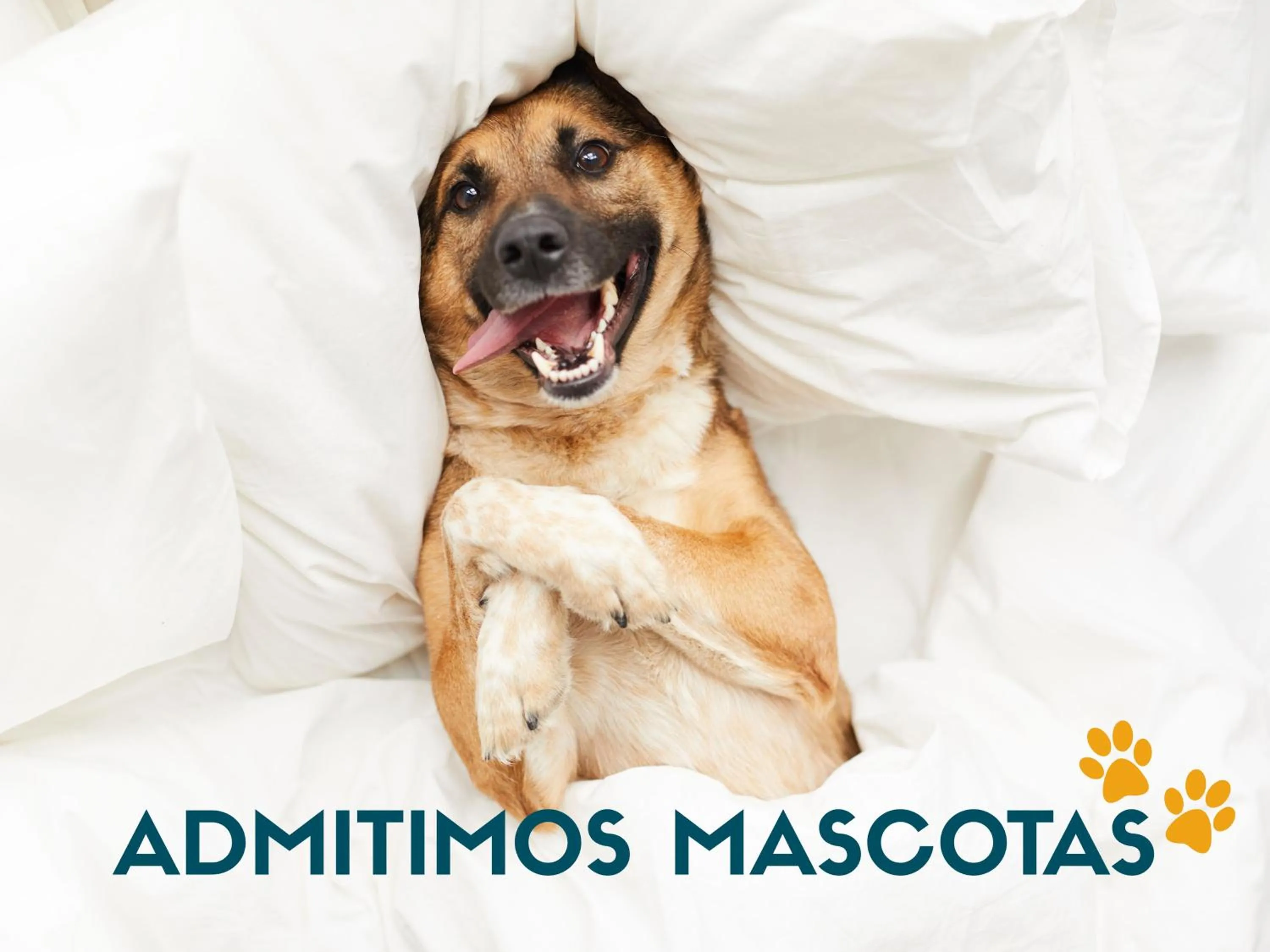 Apartaments Turistics Natural Suites Manzano 3000