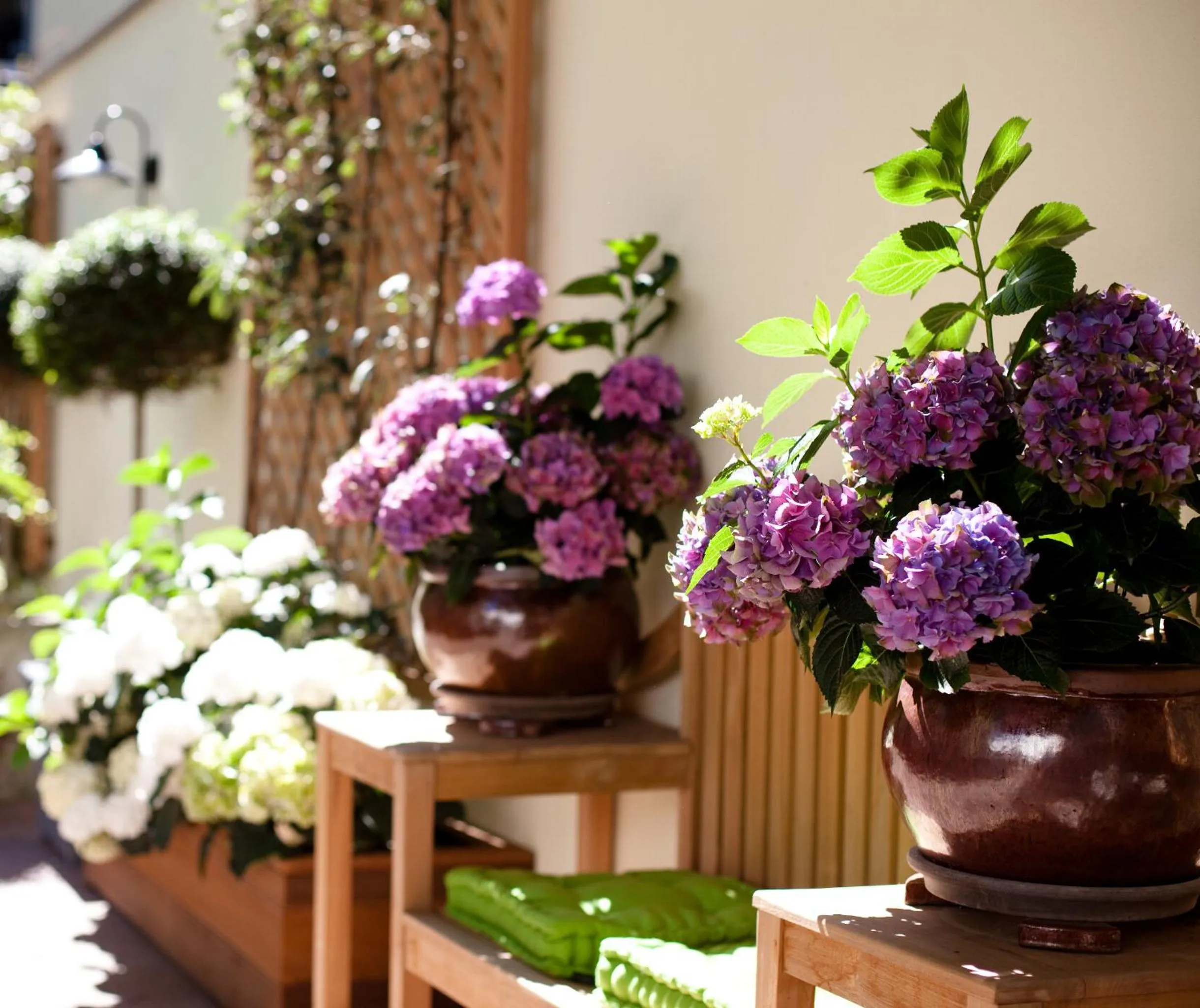 Patio in Hanseat-Hotel