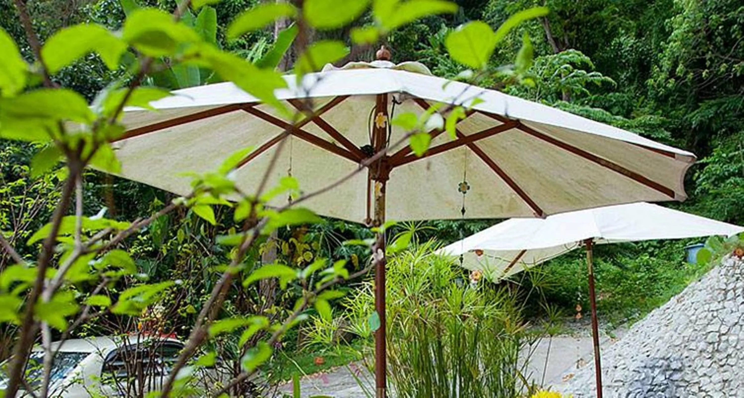 Garden in Grand View