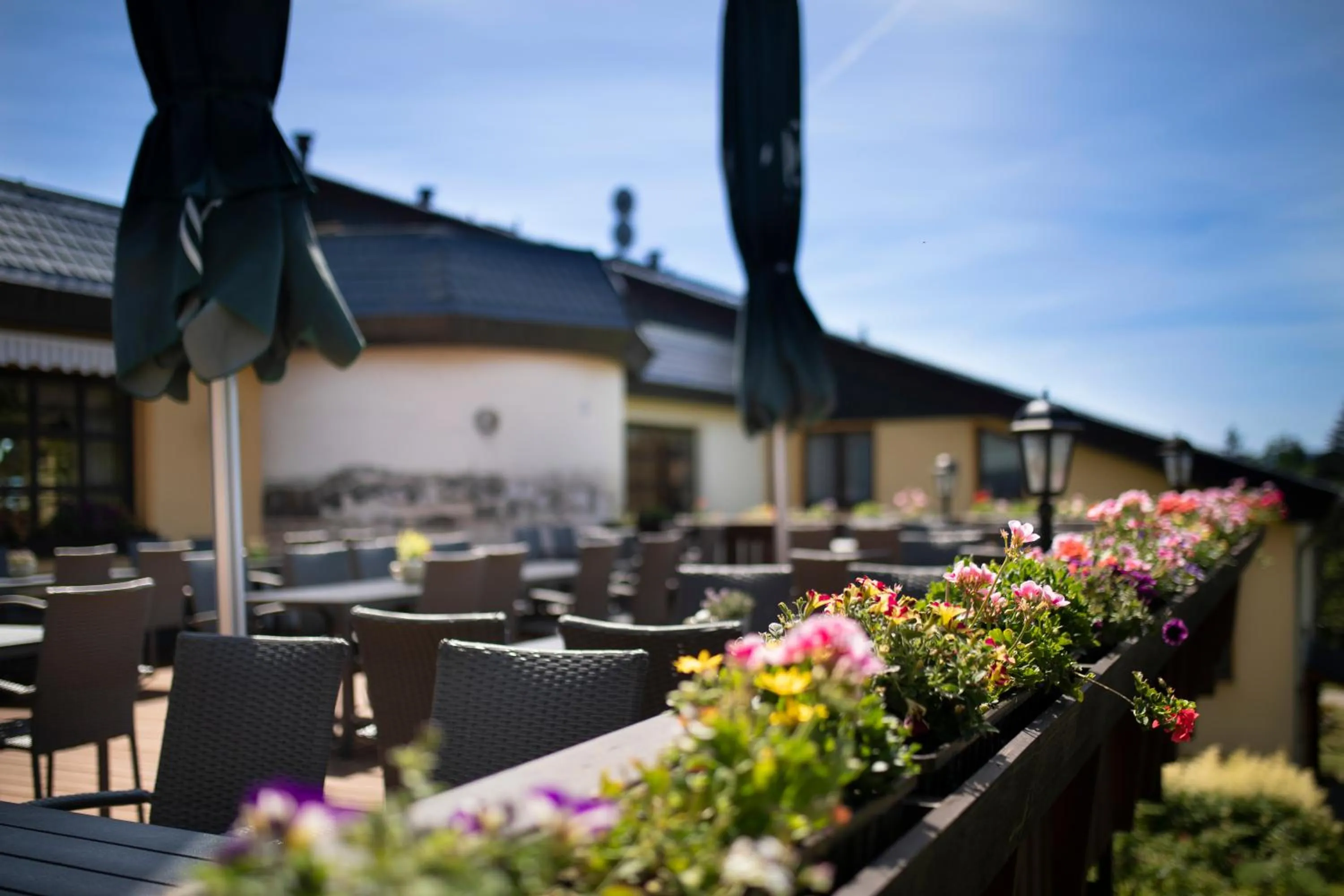 Balcony/Terrace in Hotel Forstmeister