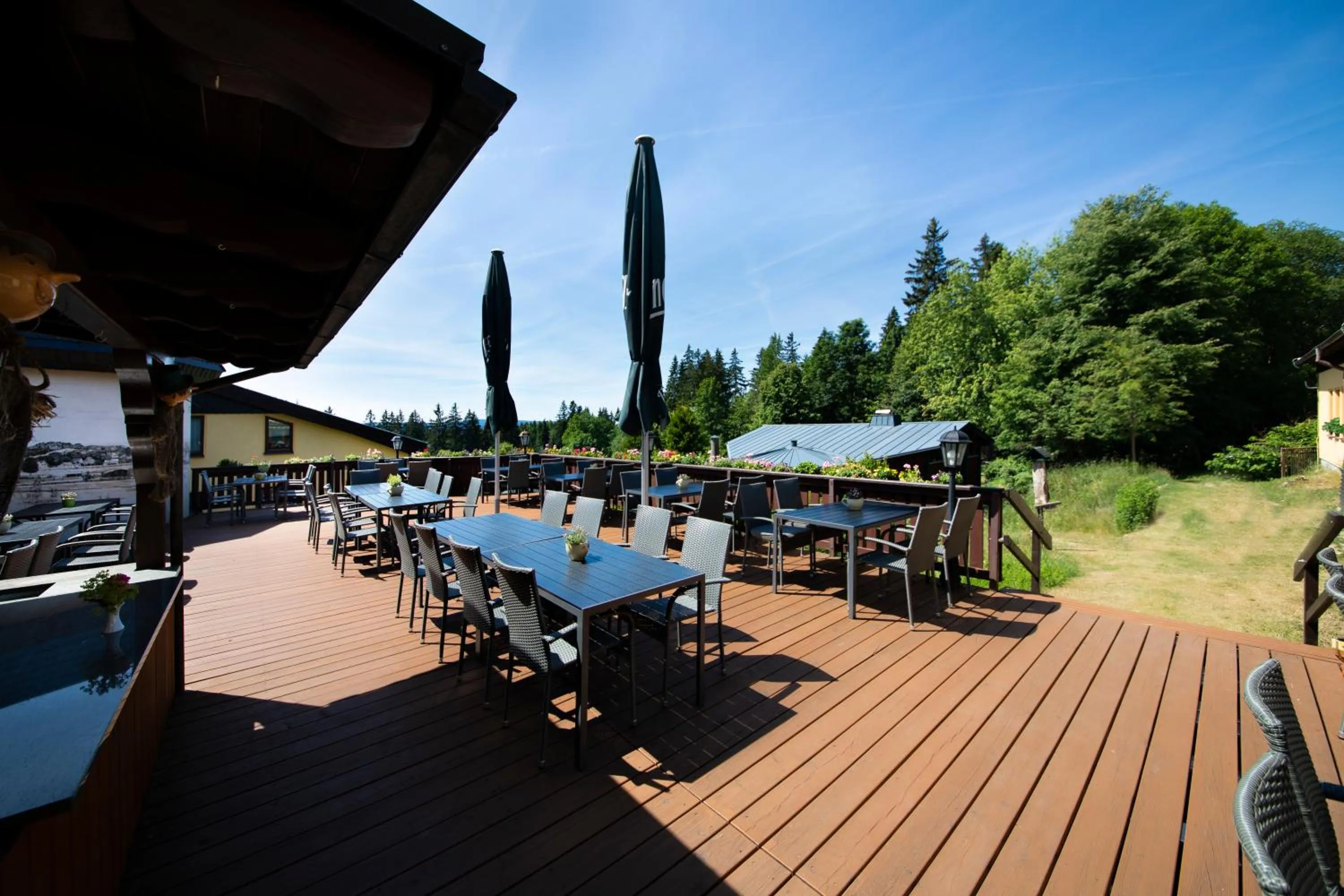 Balcony/Terrace in Hotel Forstmeister