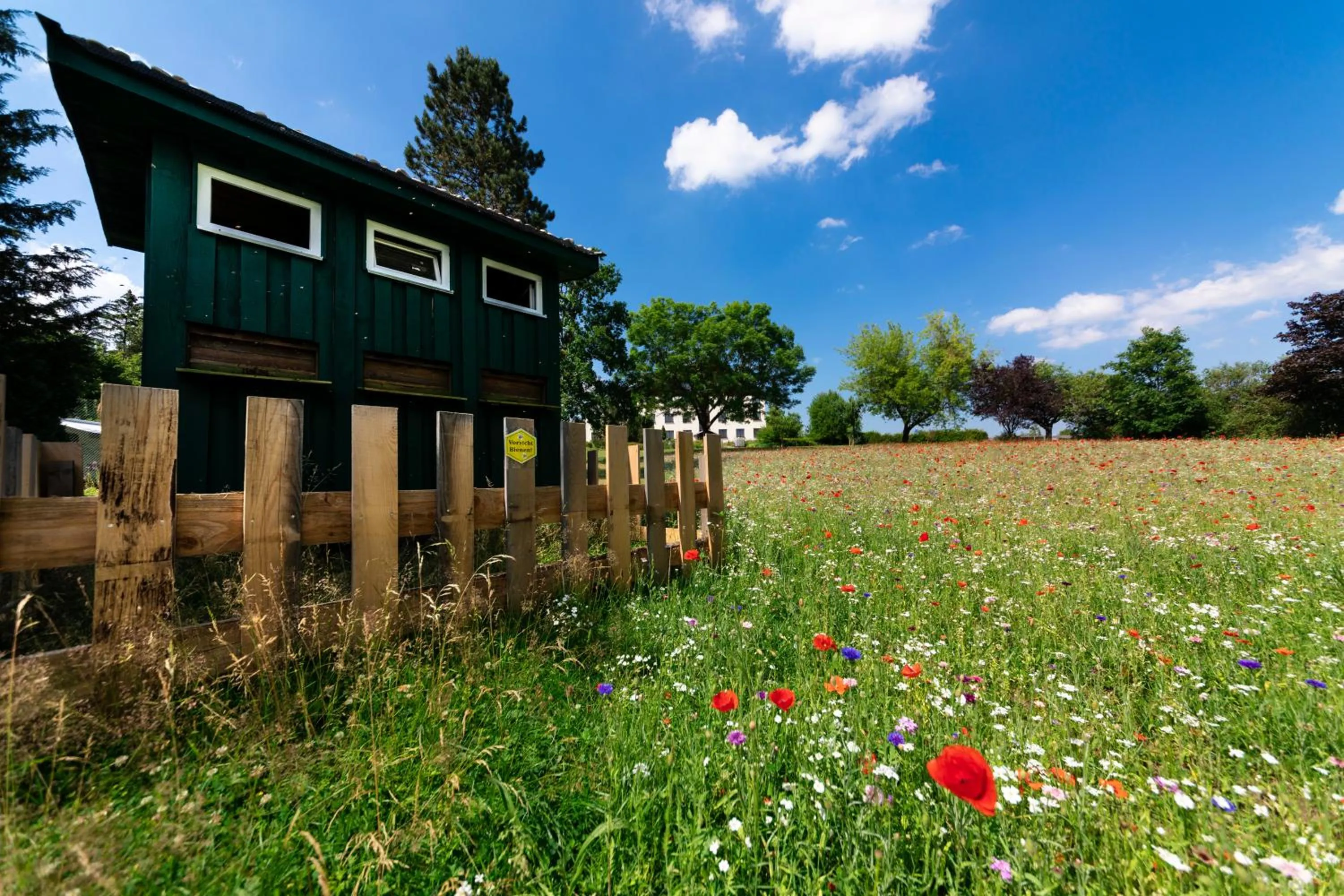 Garden in Hotel Forstmeister