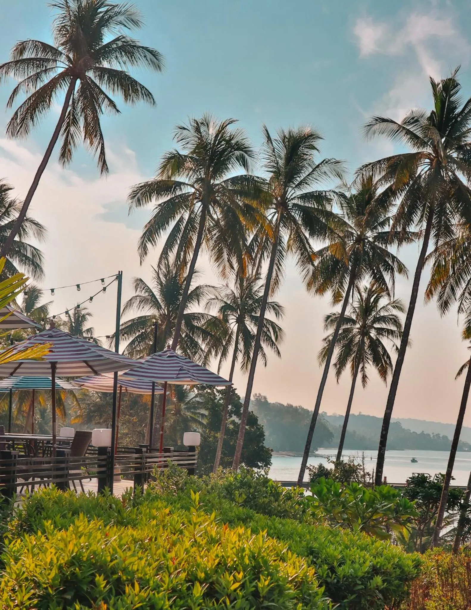 Restaurant/places to eat in Shantaa Resort, Kohkood