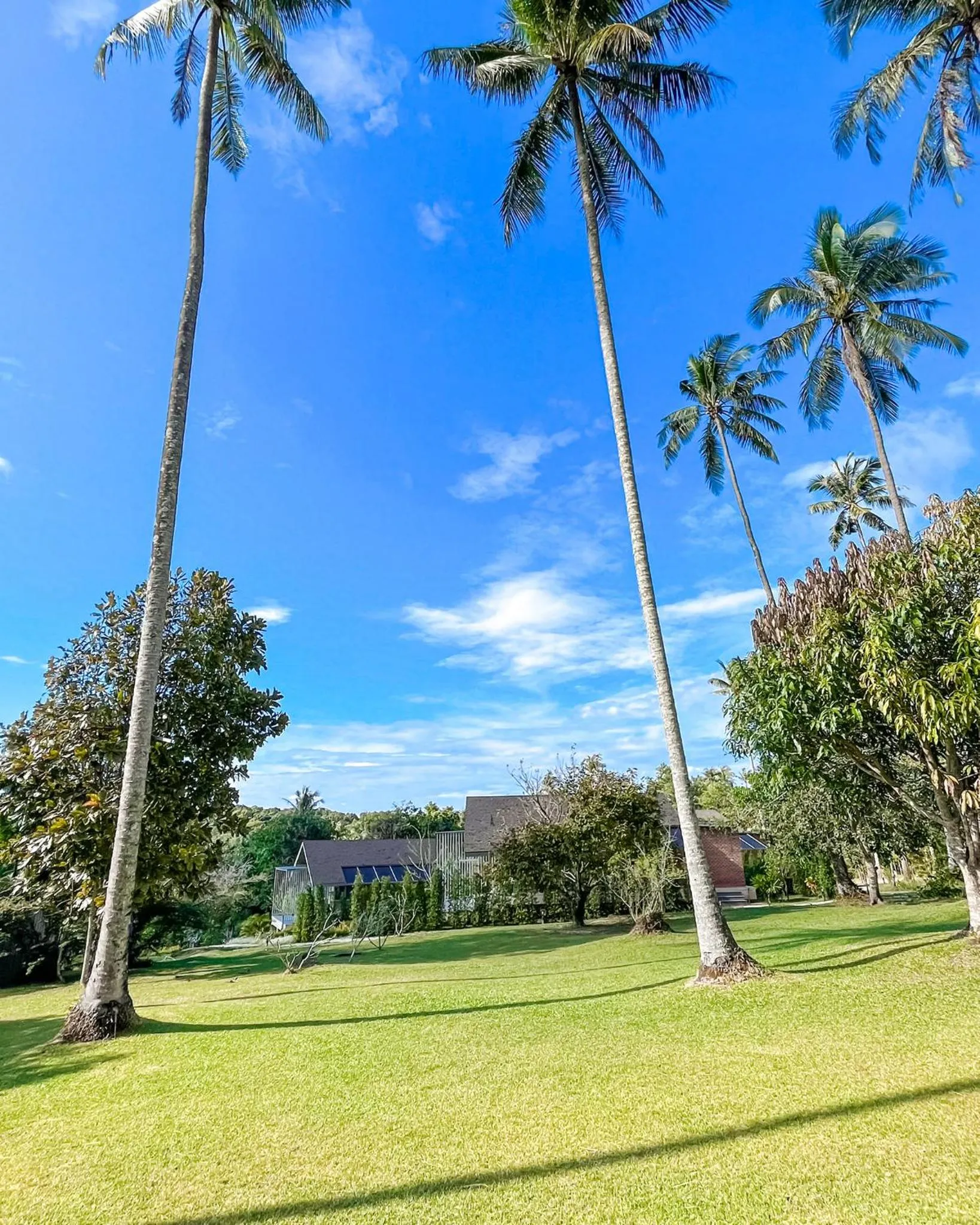 Natural landscape in Shantaa Resort, Kohkood