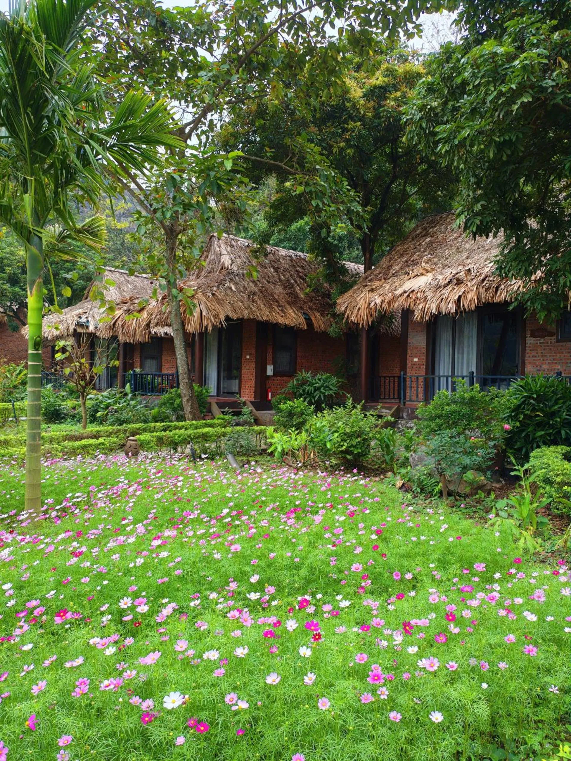 Property building in Mường Village Ninh Bình