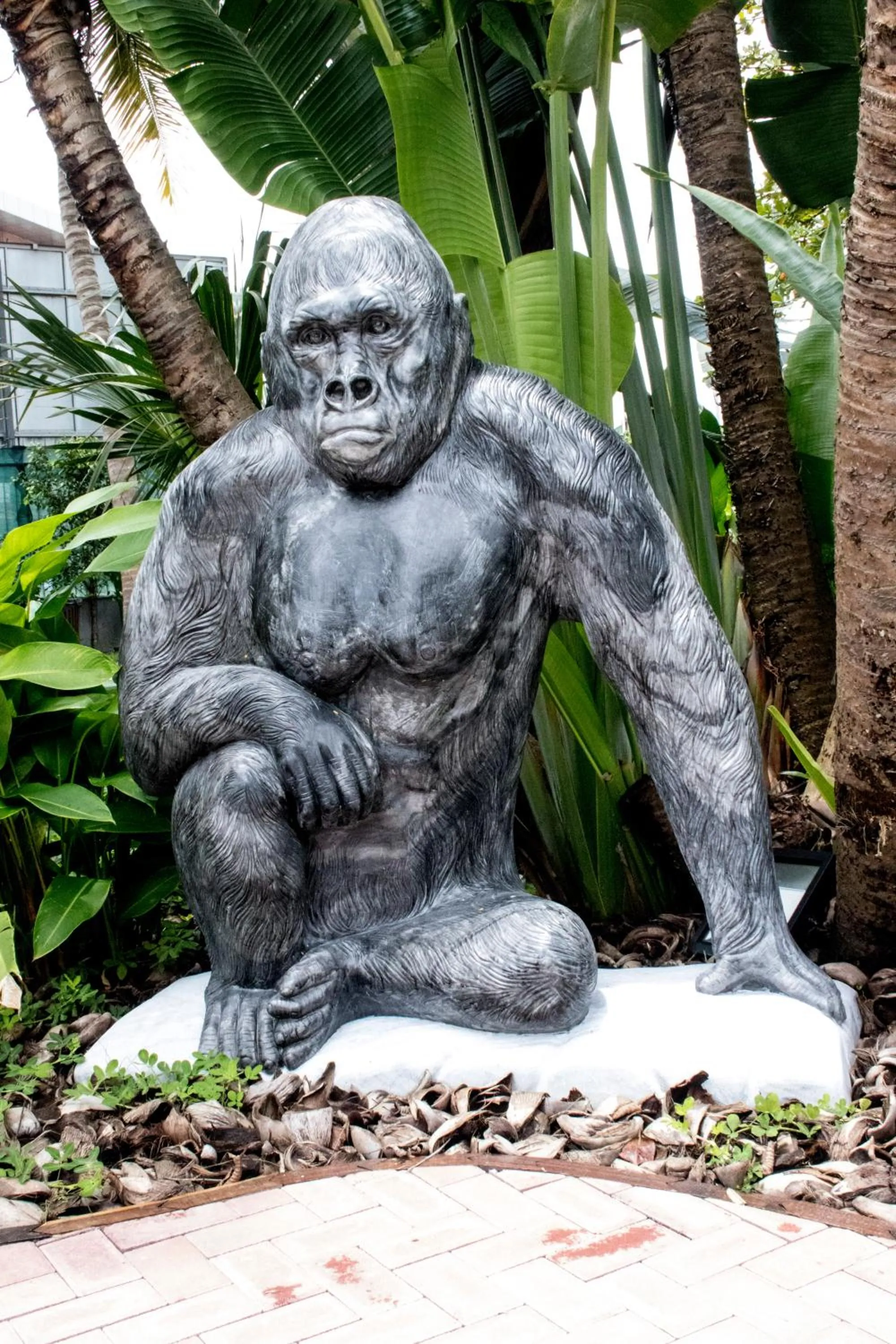 Property building in Panafrica Hotel Boutique & Spa