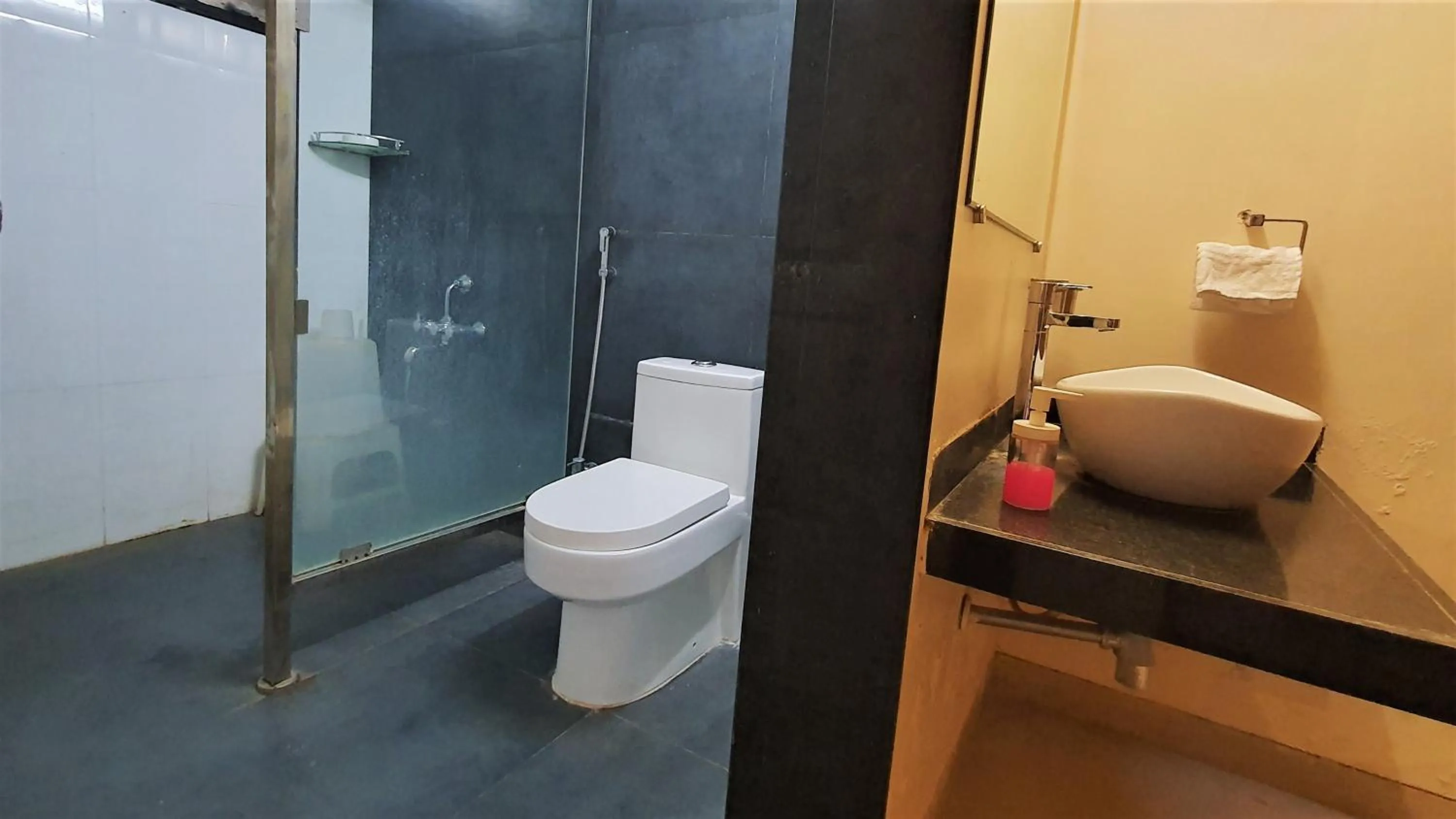 Toilet in Aranyagiri Countryside Resort, Near Pune