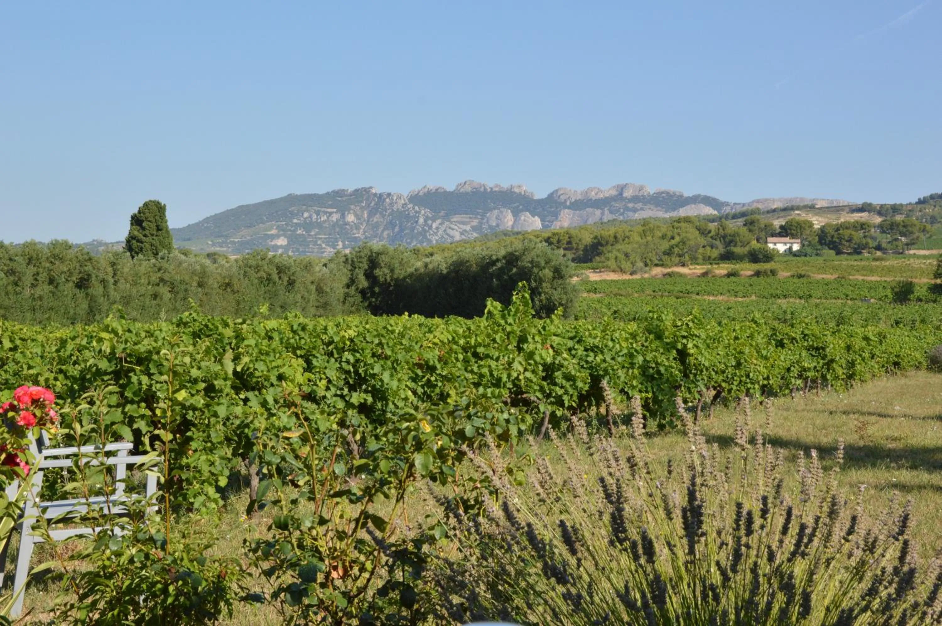 Landmark view in La Dentellière