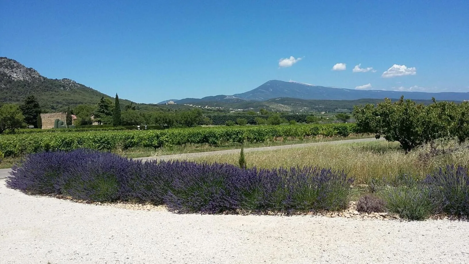 Landmark view in La Dentellière