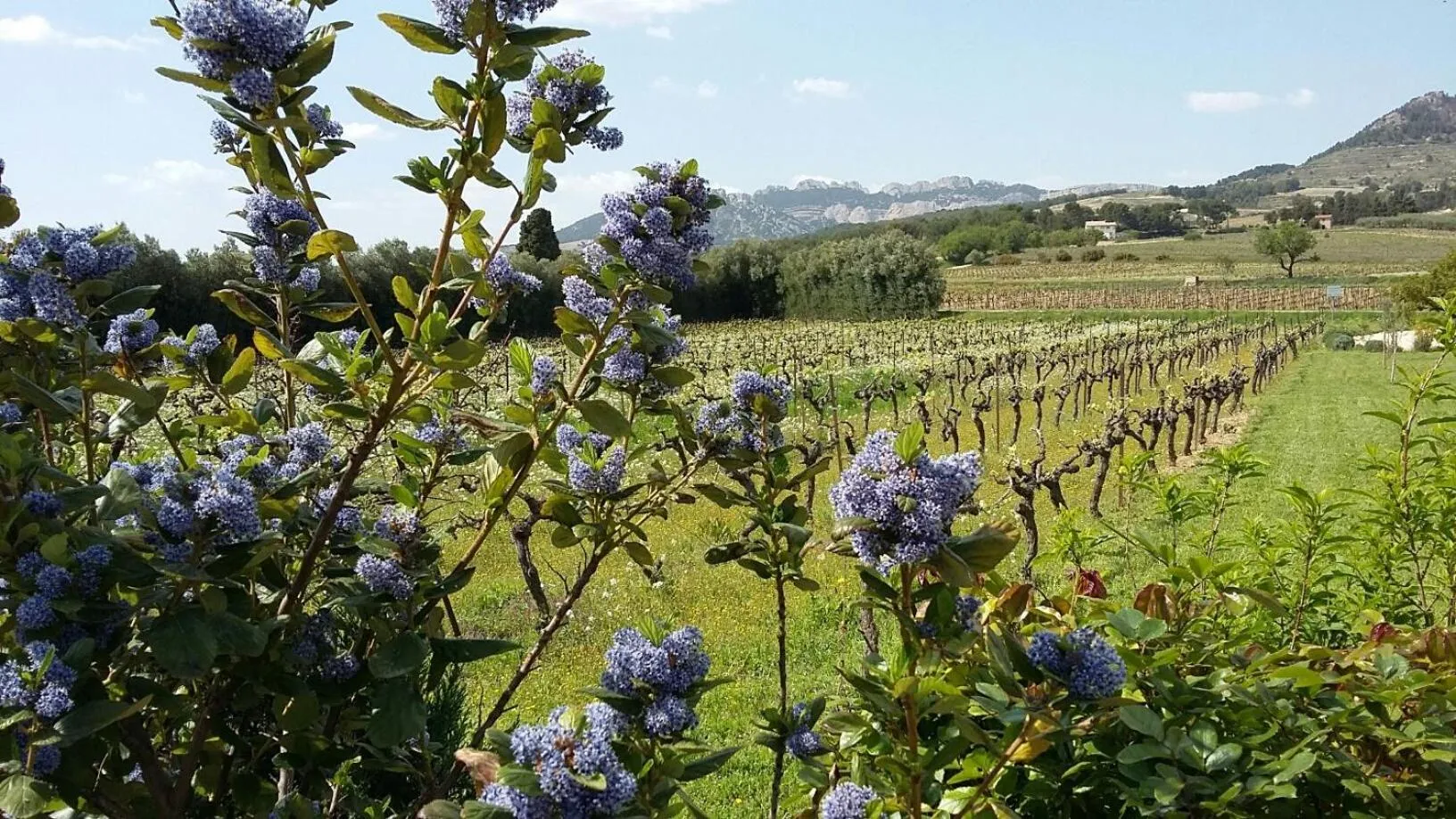 Landmark view in La Dentellière