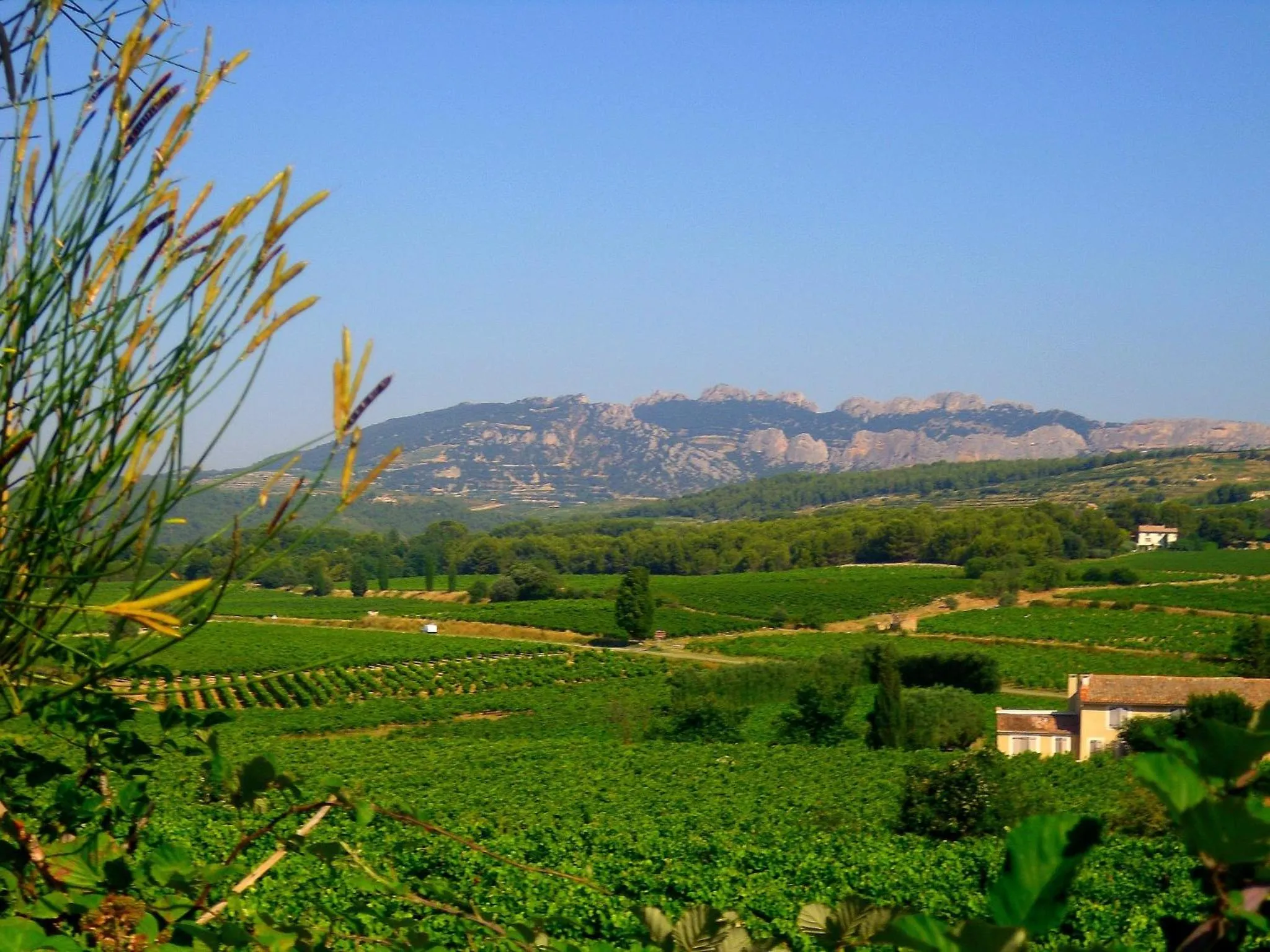 Natural landscape in La Dentellière