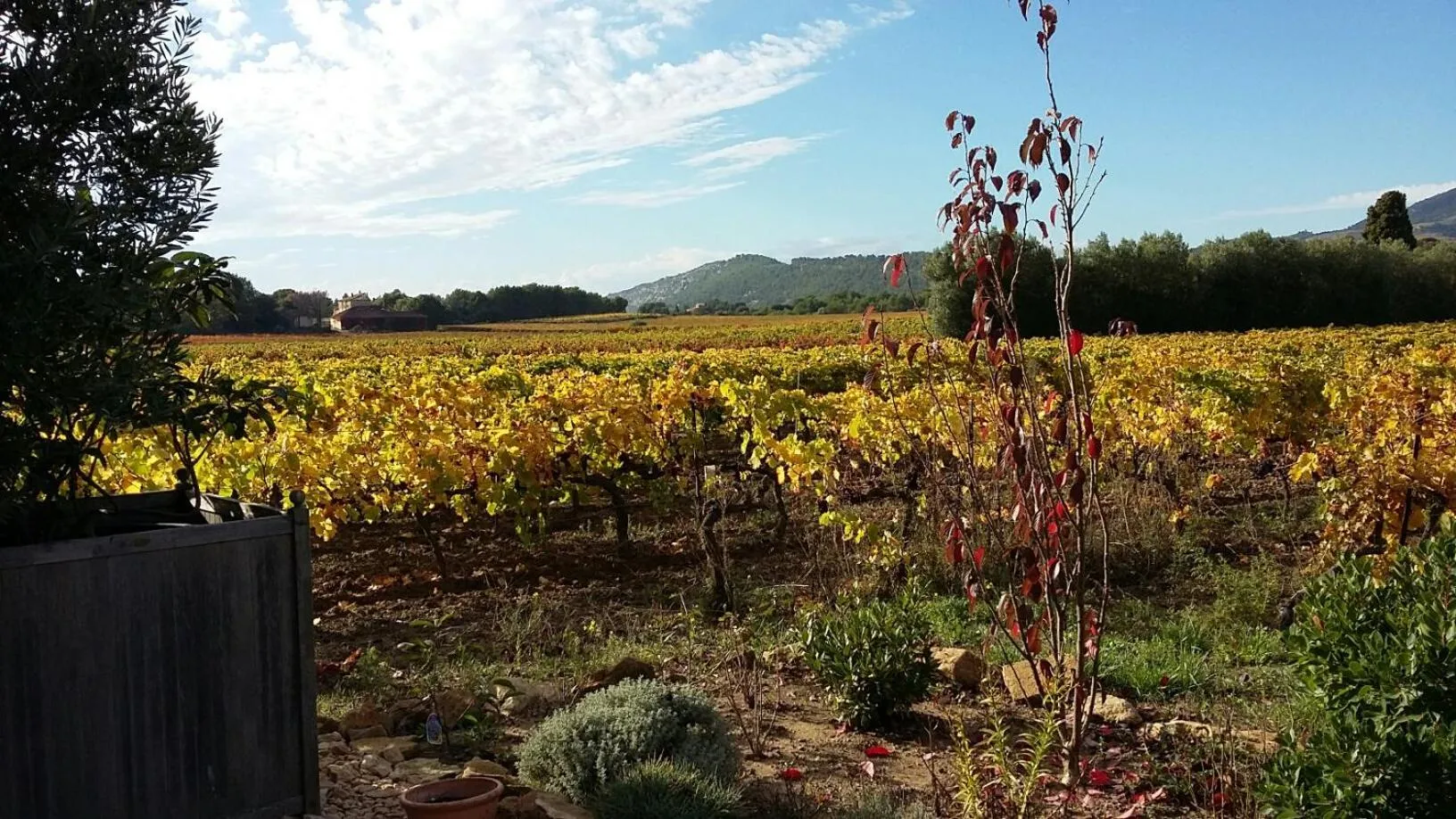 View (from property/room) in La Dentellière