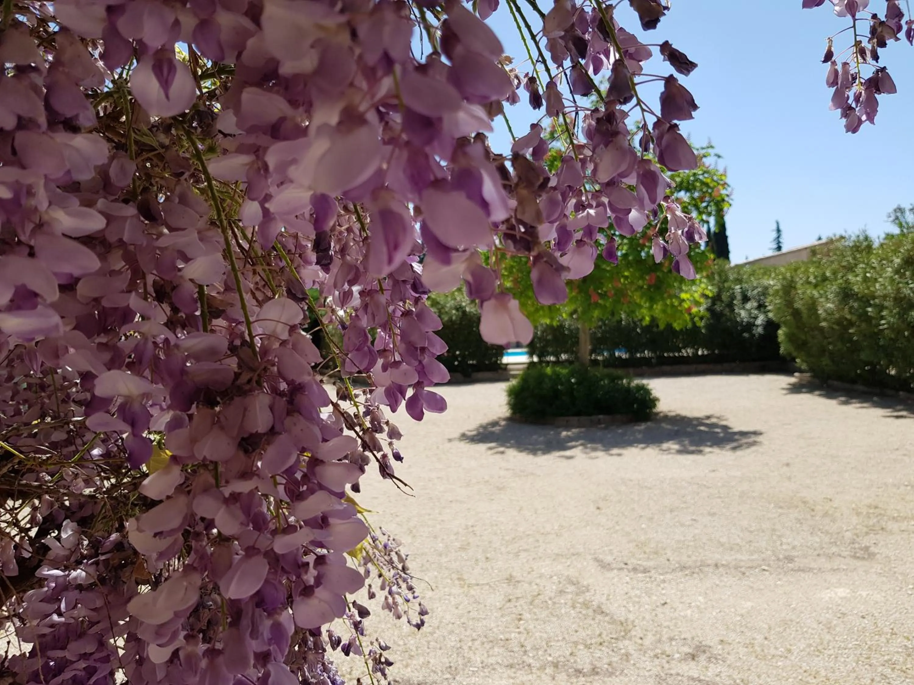 Property building in La Pastorale