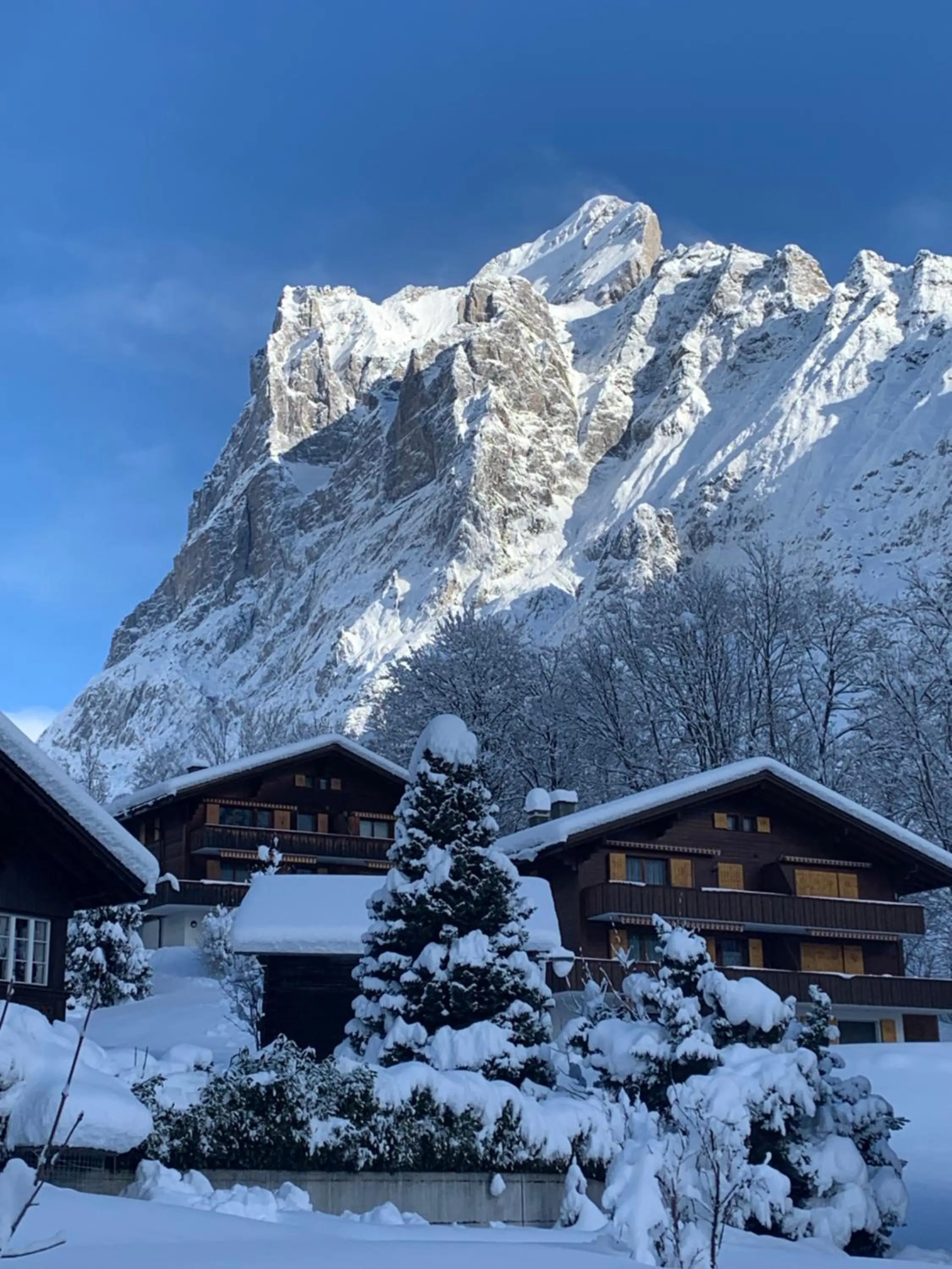 Chalet Sunneblick