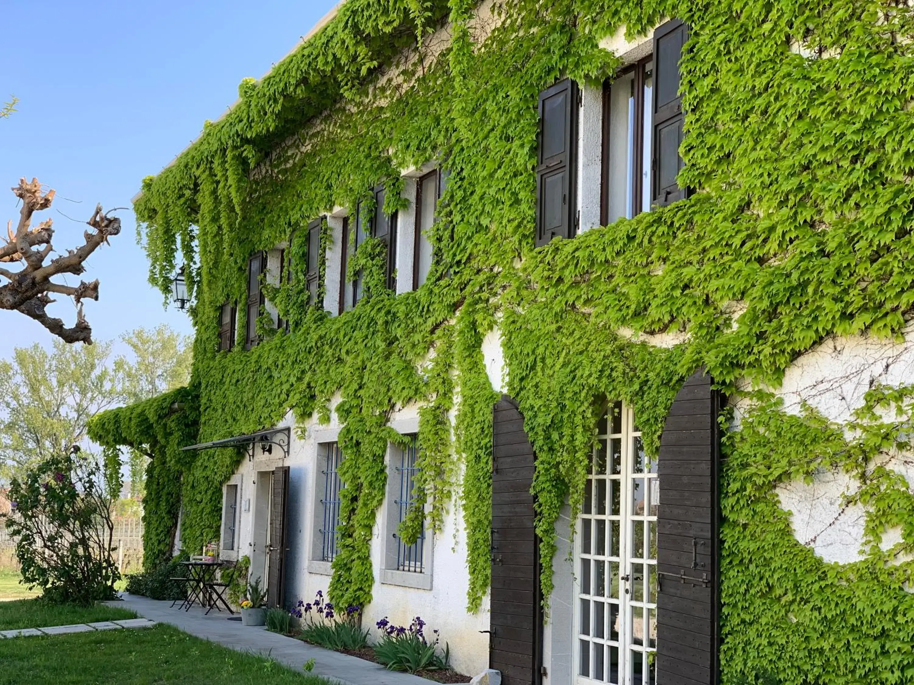 Agriturismo Tra Le Vigne Agriturismo Tra Le Vigne
