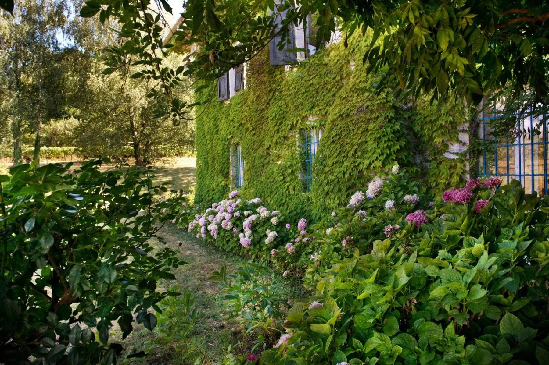 Garden in Agriturismo Tra Le Vigne