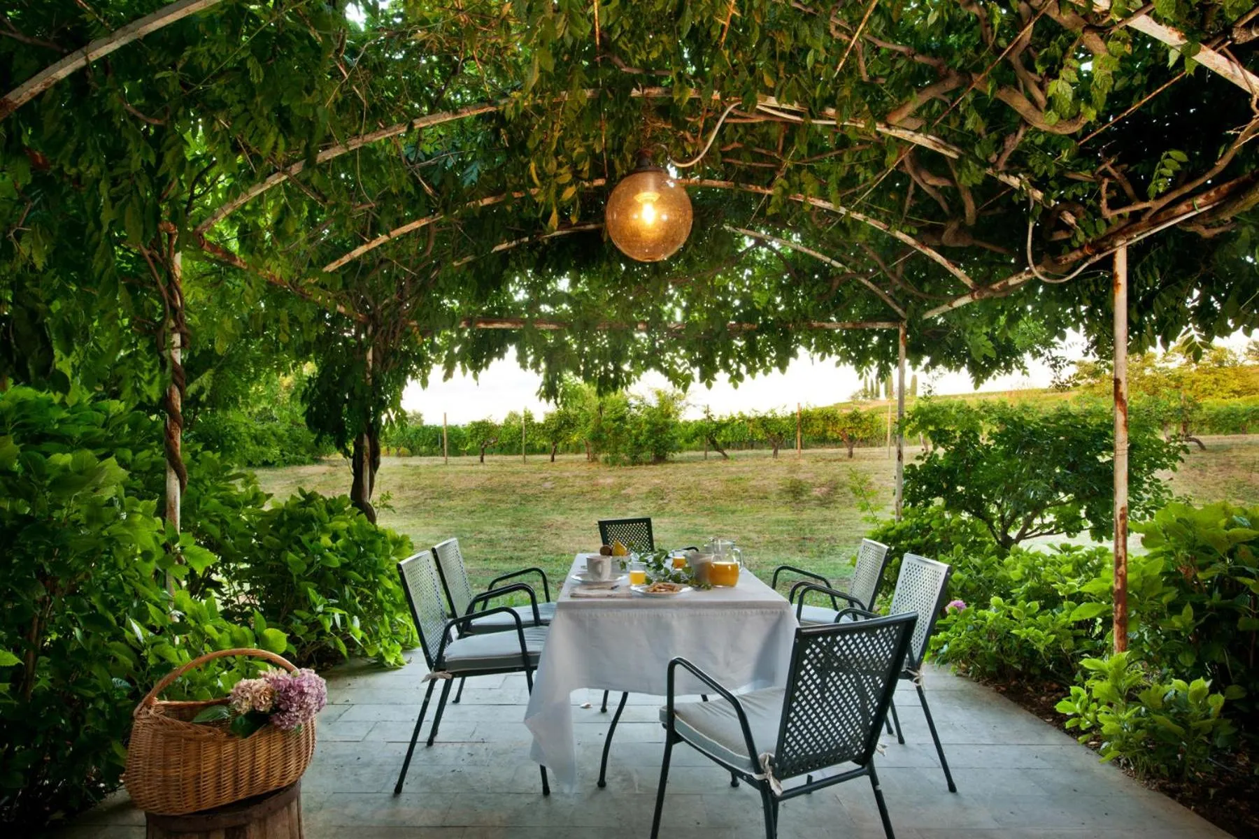 Agriturismo Tra Le Vigne