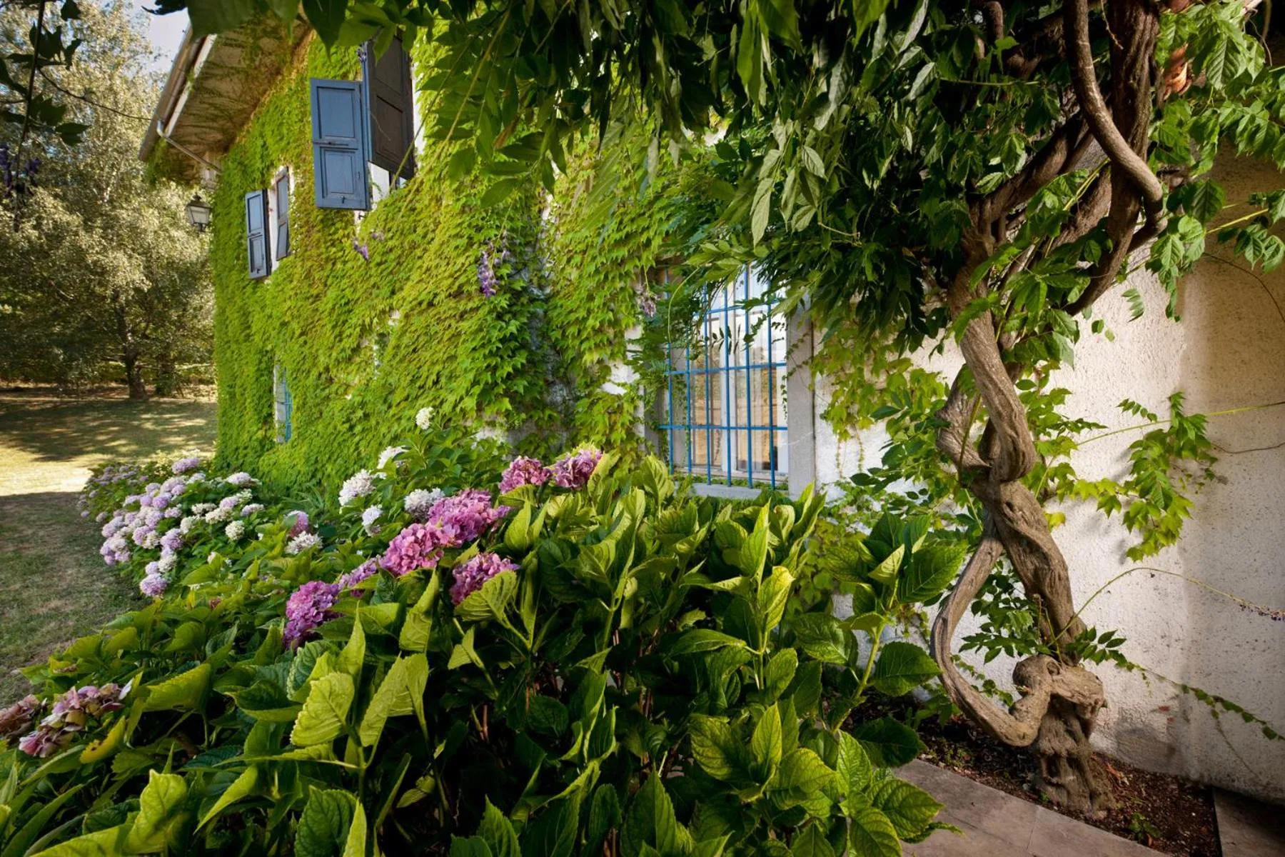 Garden in Agriturismo Tra Le Vigne