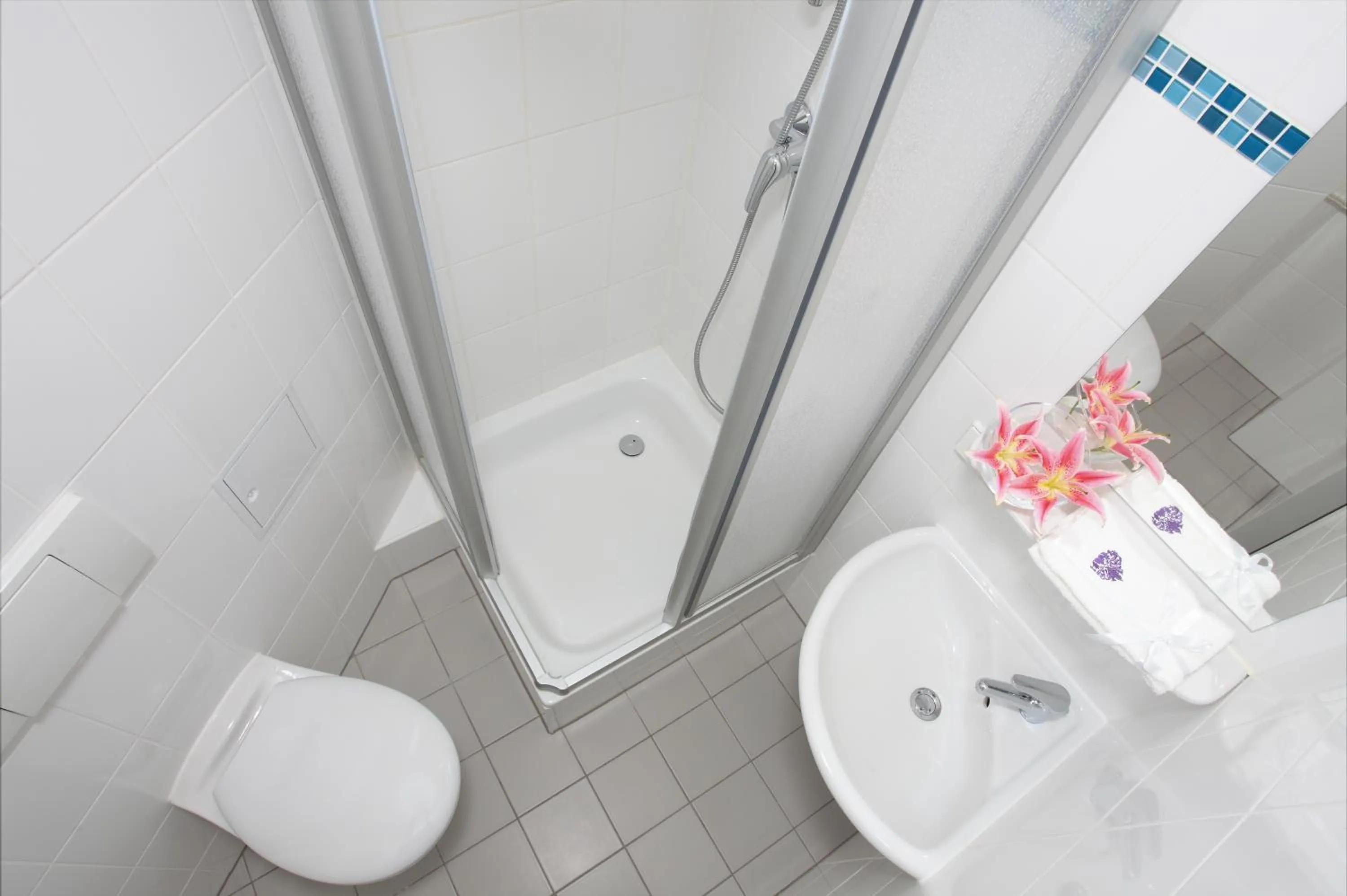 Shower in Hotel-Pension Cortina