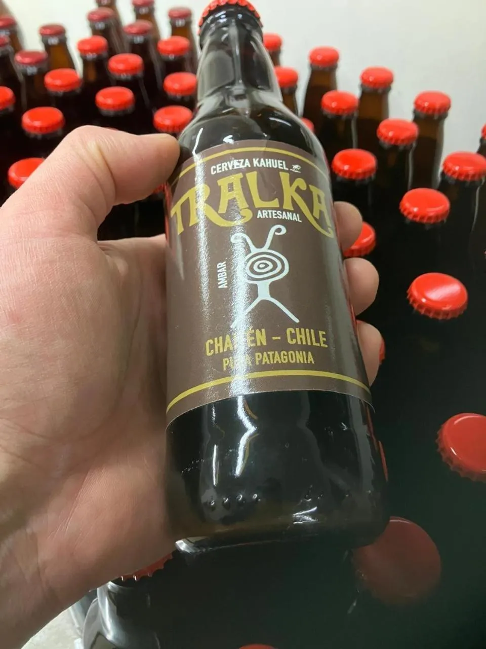 Restaurant/places to eat in Posada de Expediciones Kahuel