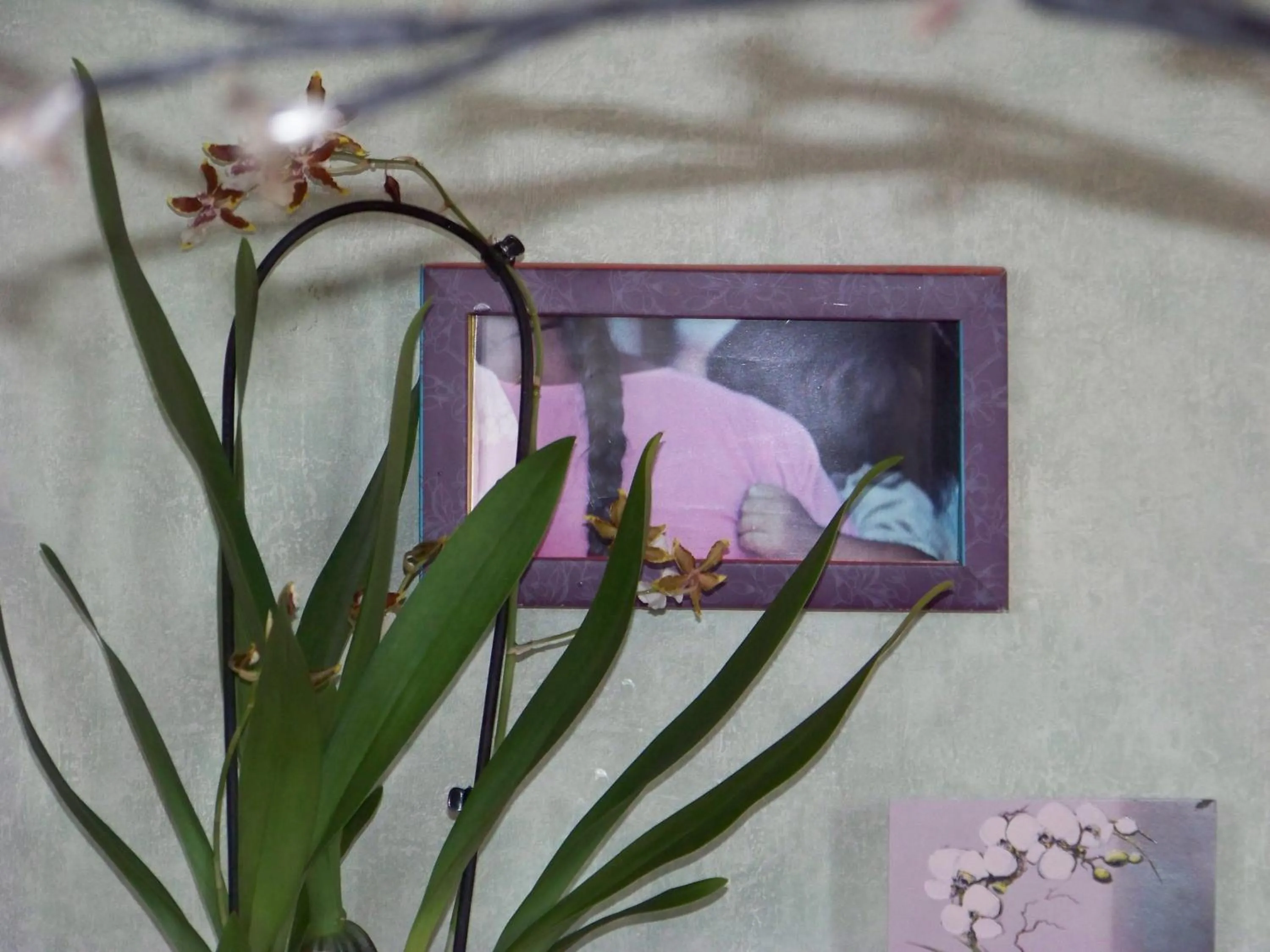 Decorative detail in Croix Blanche