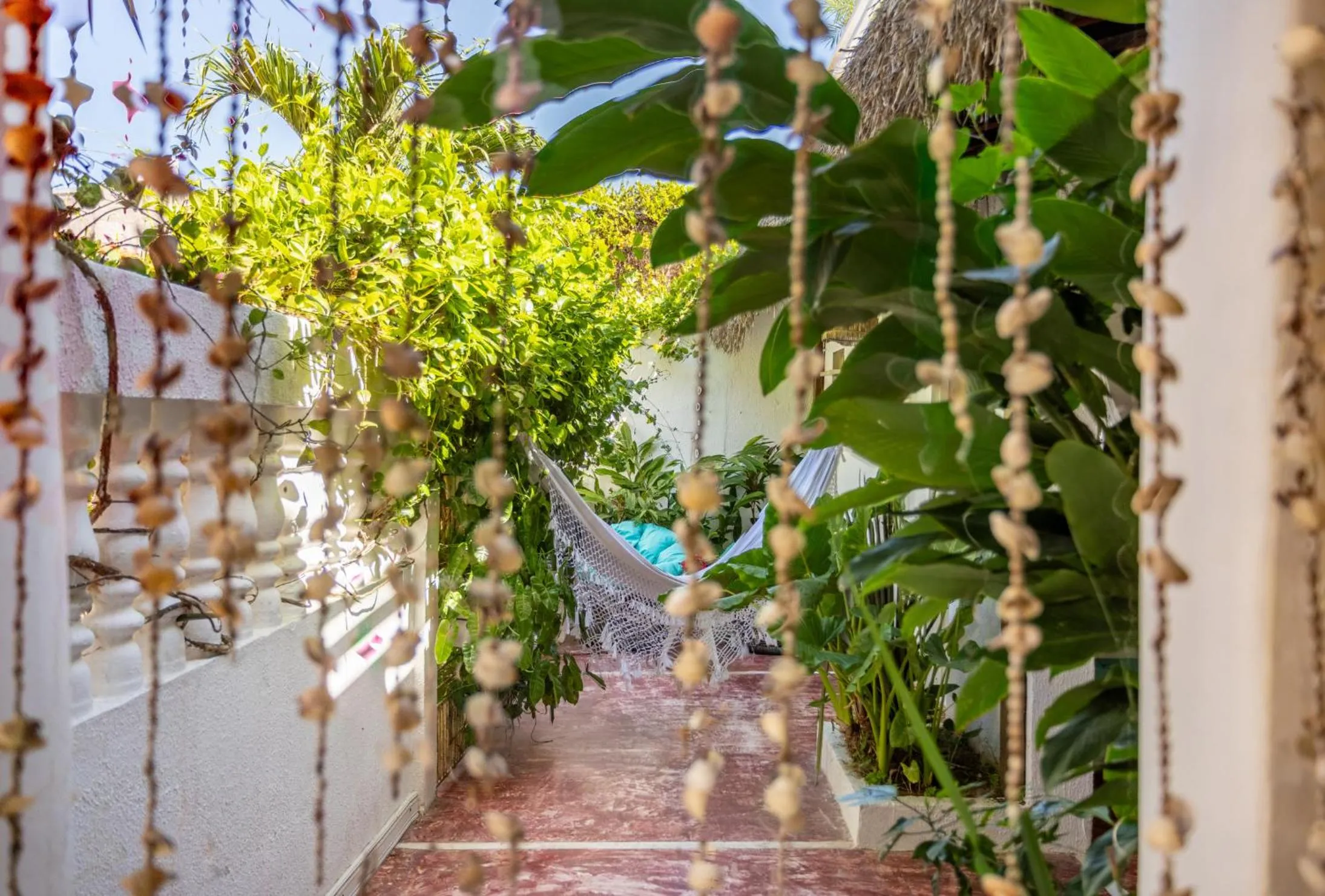Garden in Pousada Duna Beach
