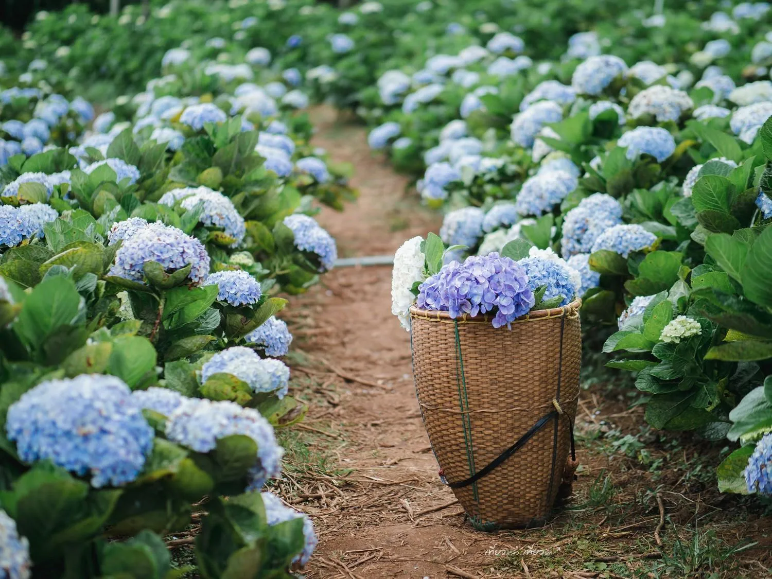 Off site in Smile Place (สมายเพลส)