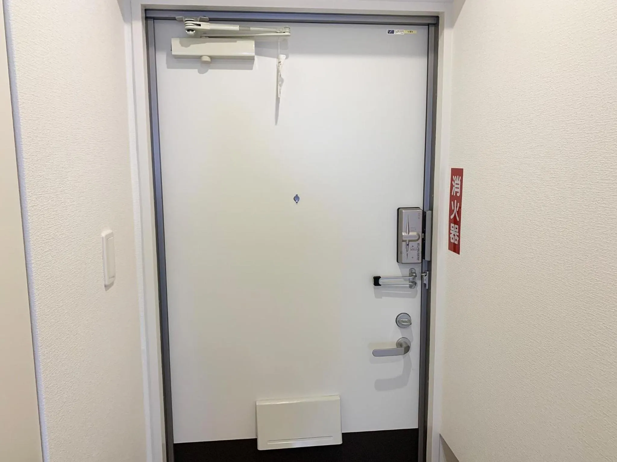 Photo of the whole room in Mango Resort Okinawa Naha