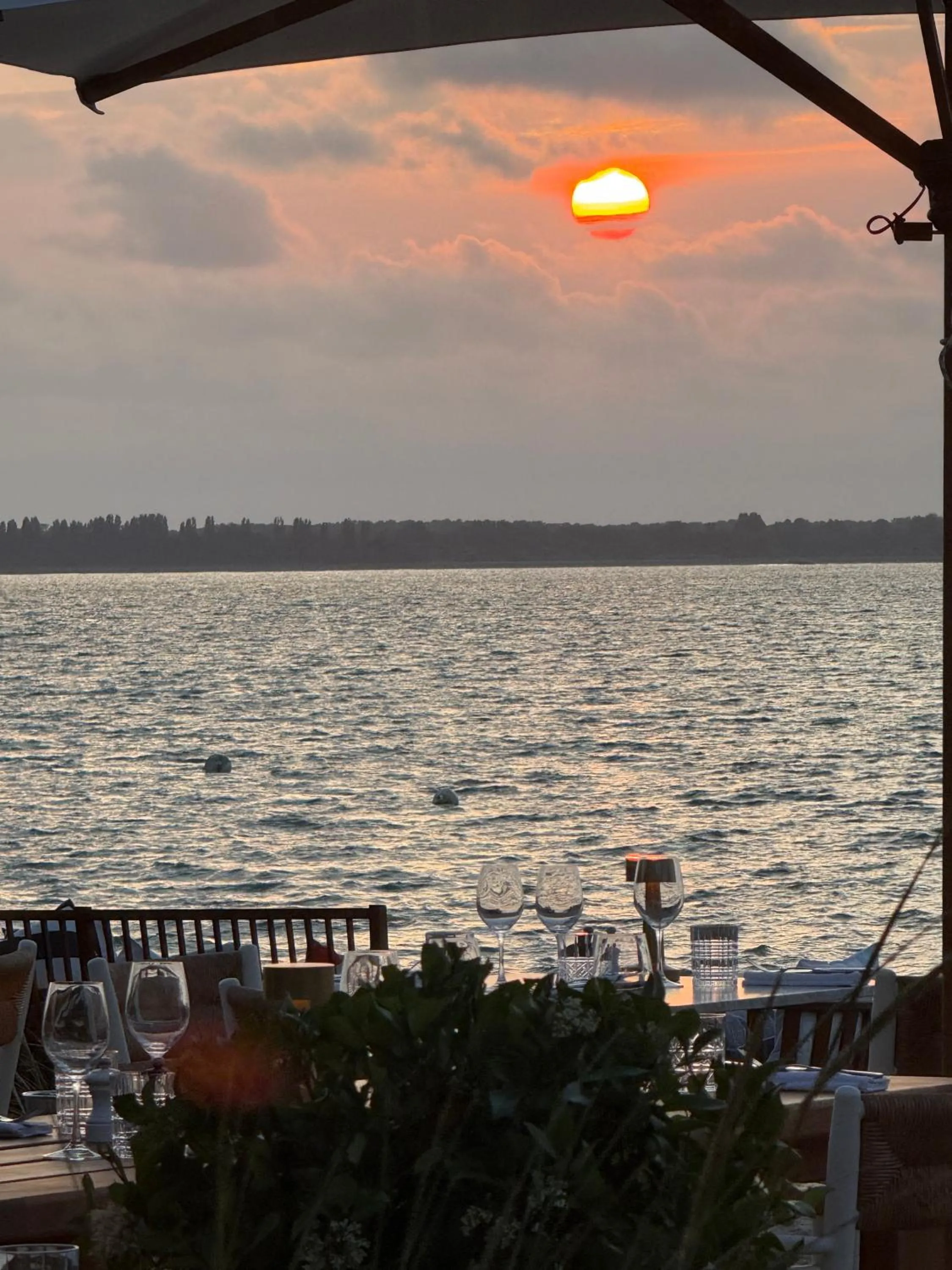 Restaurant/places to eat in Hôtel de la Plage - Ronce-les-bains