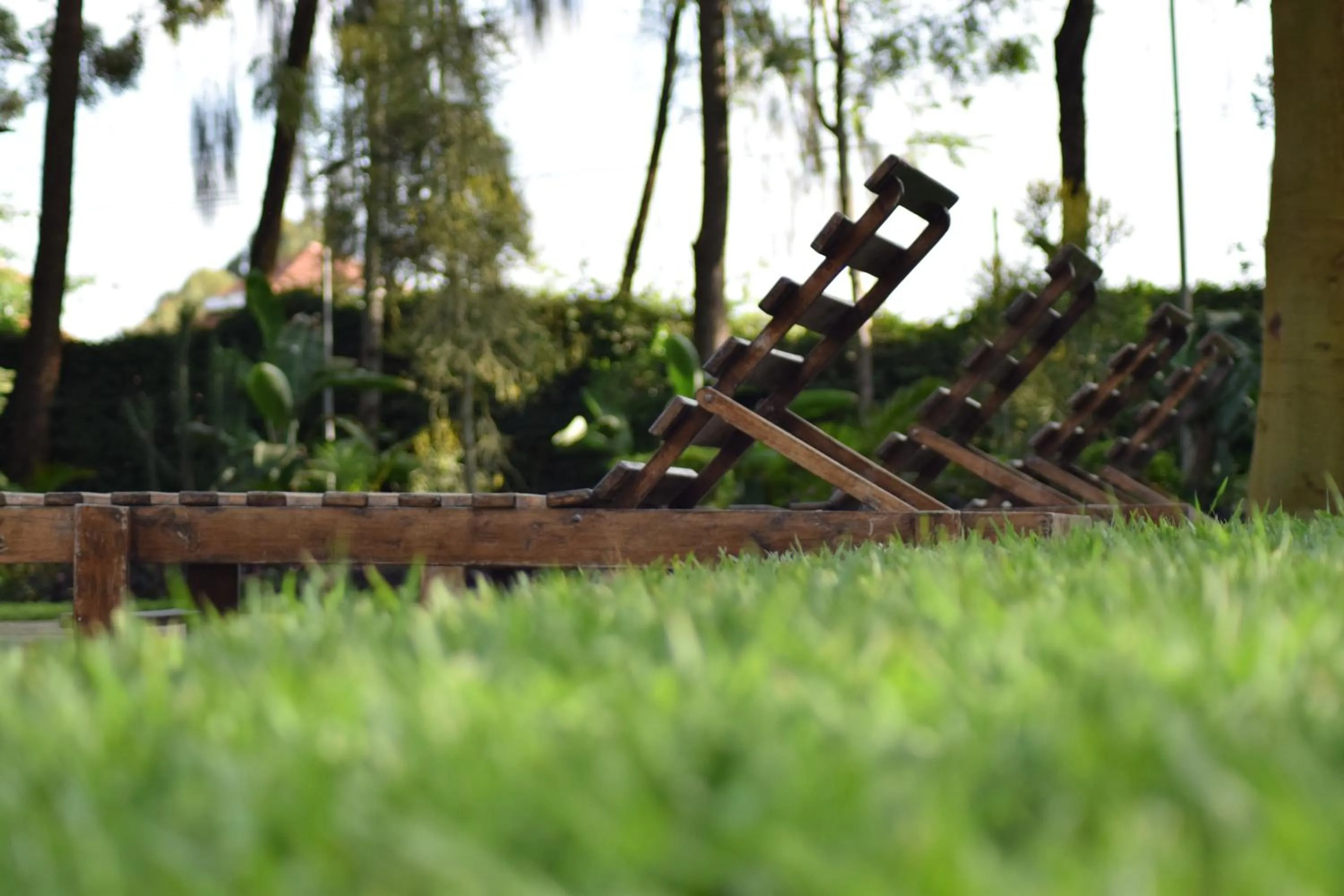 Garden in Margarita House