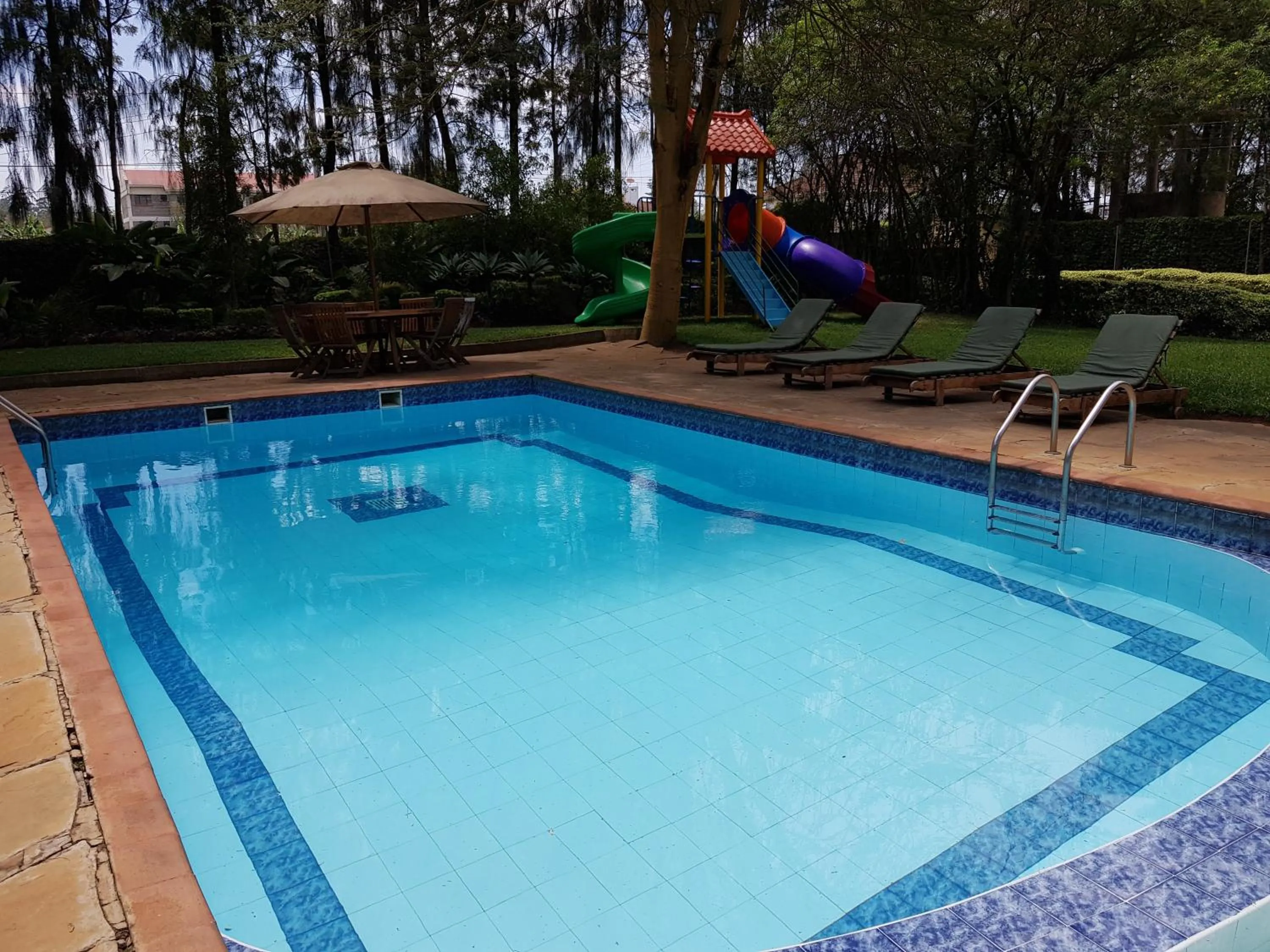 Swimming pool in Margarita House