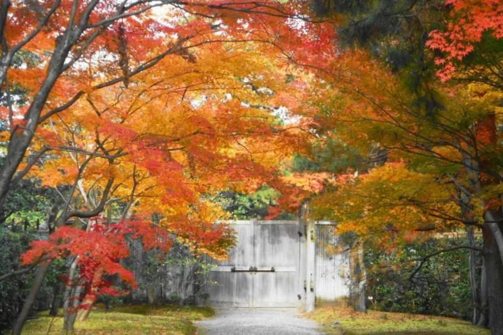 Cozy enjoyment hotel no.29