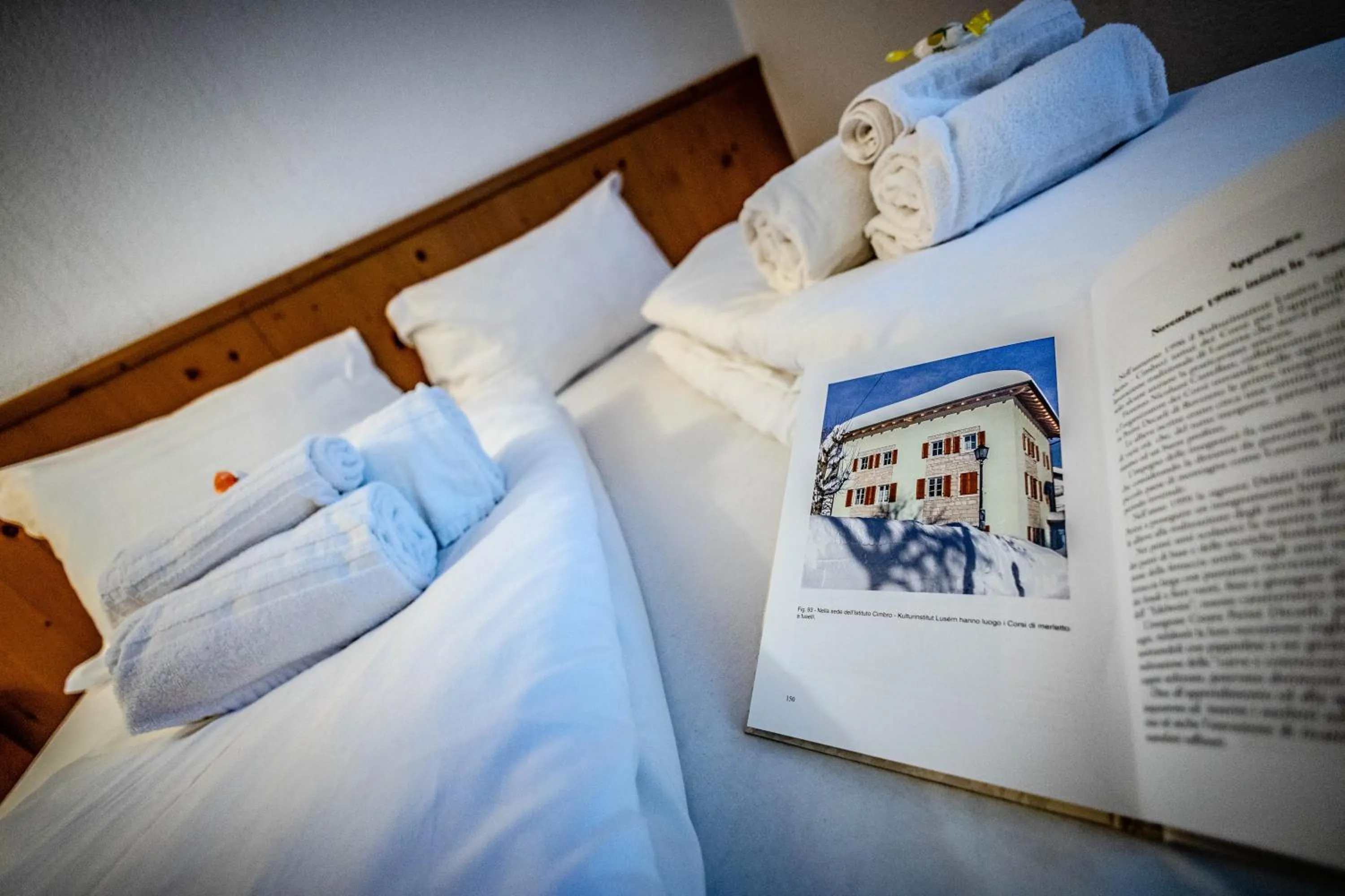 Decorative detail, Bed in Hotel Grizzly "Ski-in Ski-out"