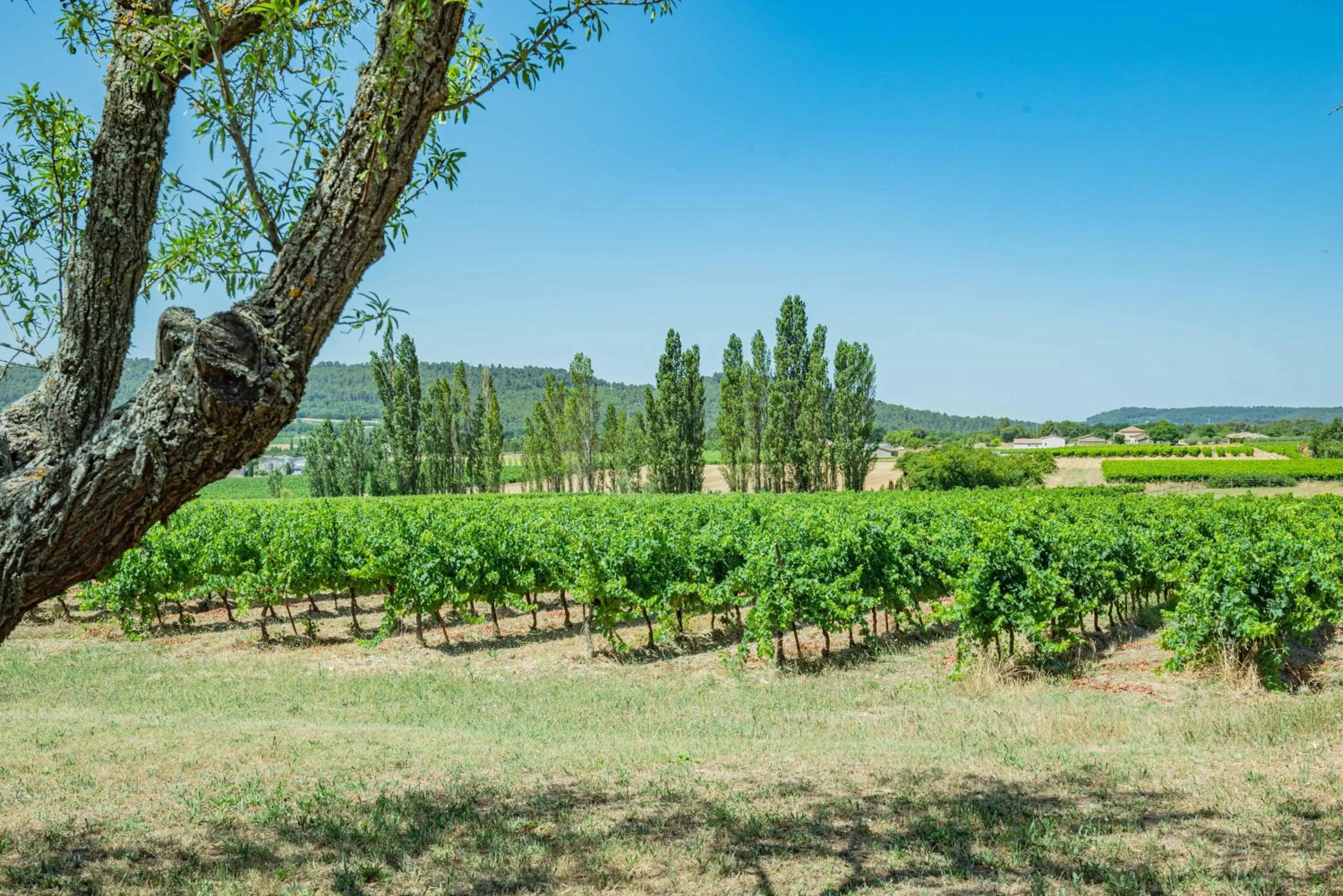 Garden in Les Chambres du Perussier