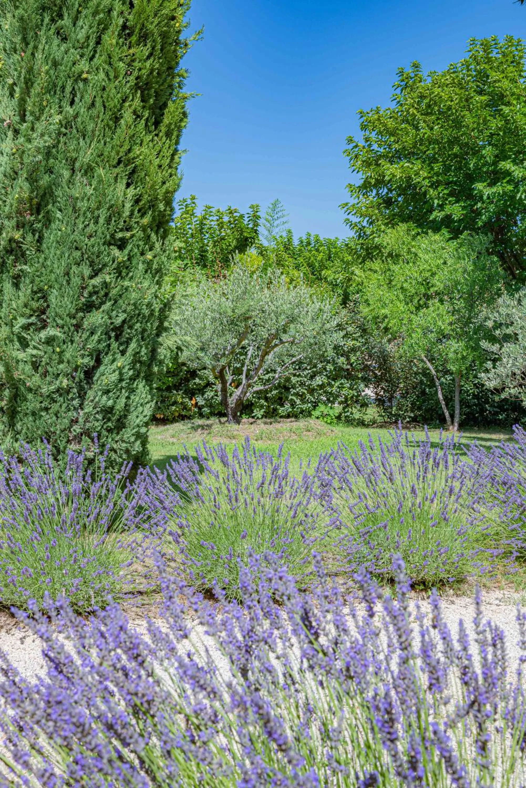 Garden in Les Chambres du Perussier