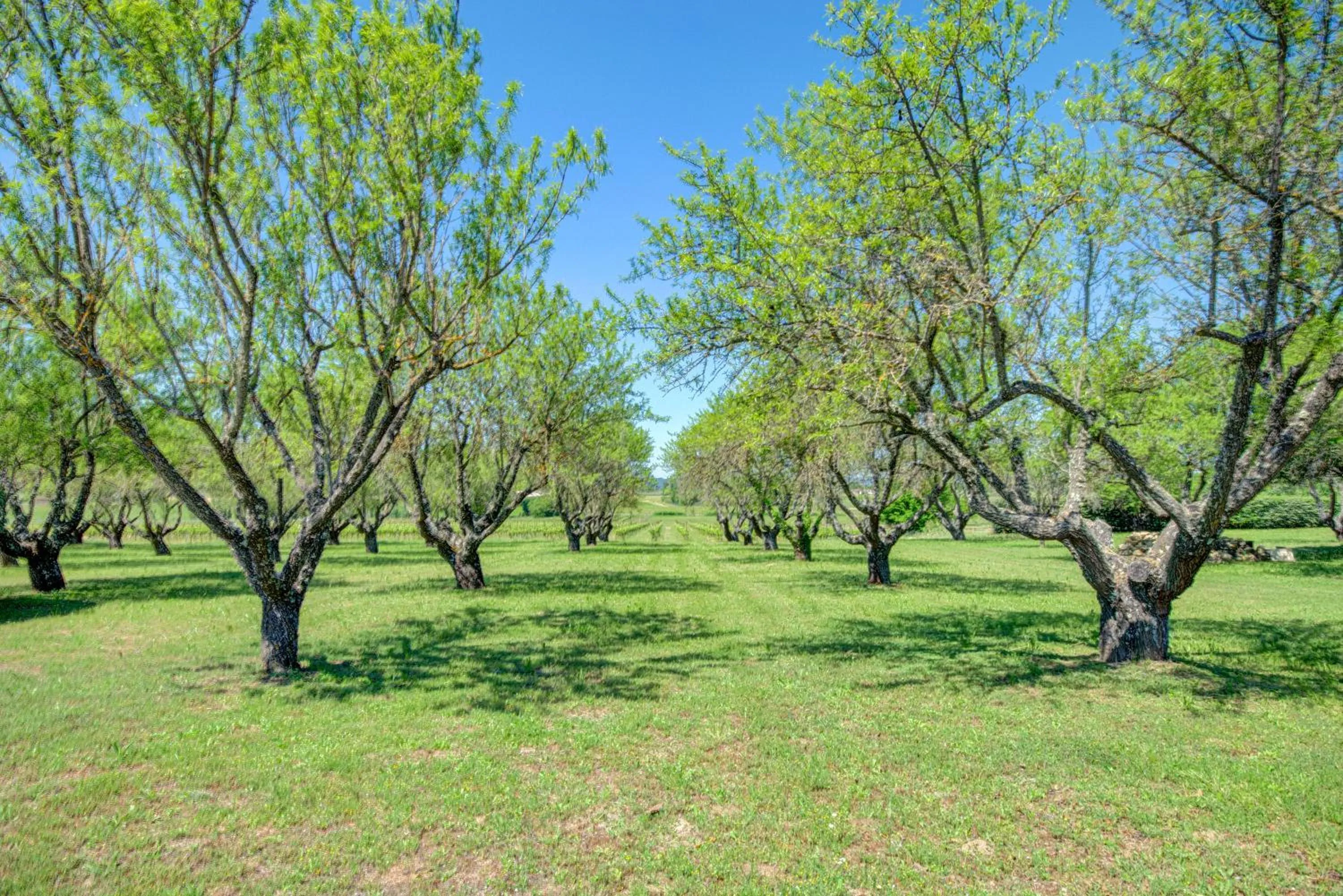 Garden in Les Chambres du Perussier