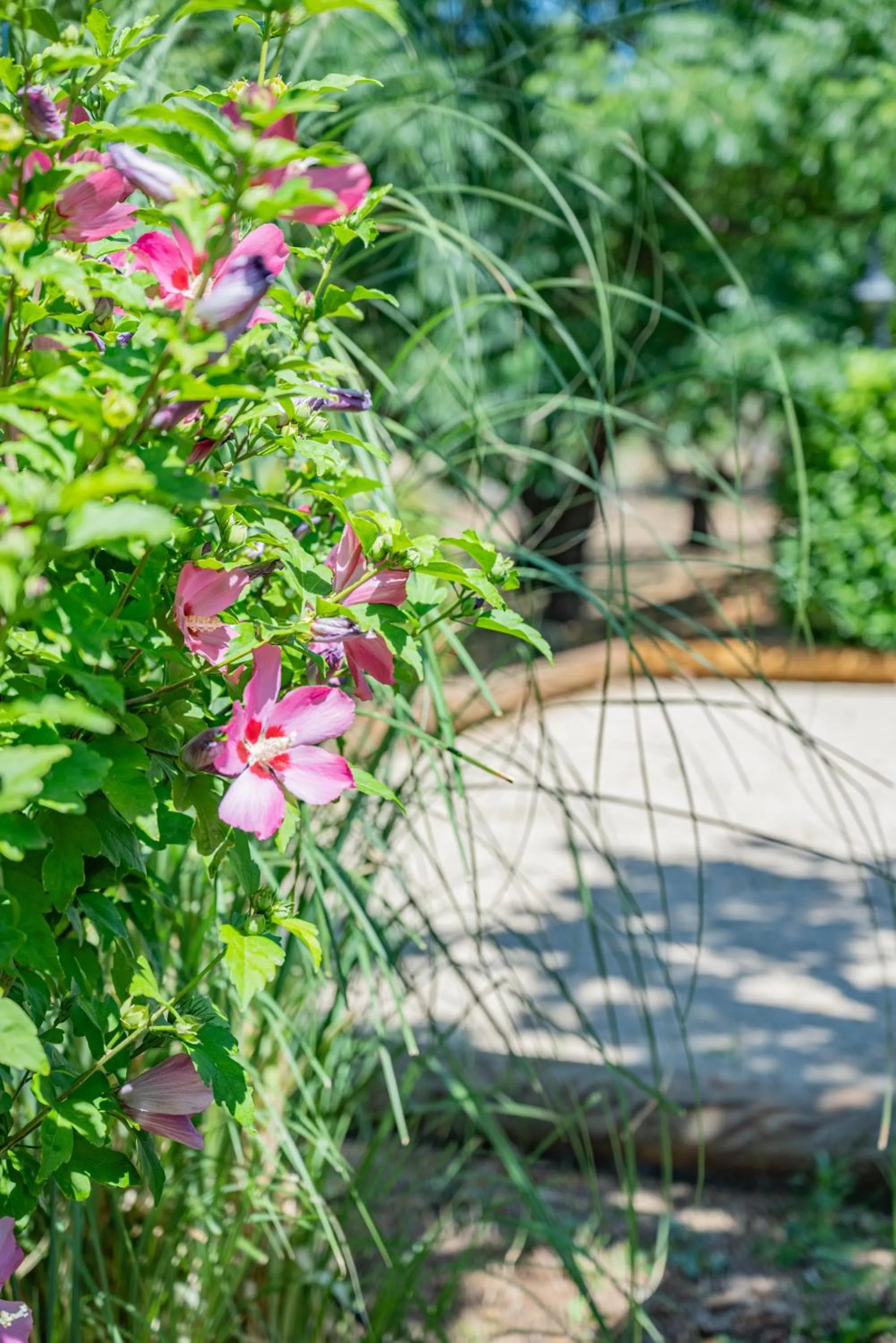 Garden in Les Chambres du Perussier
