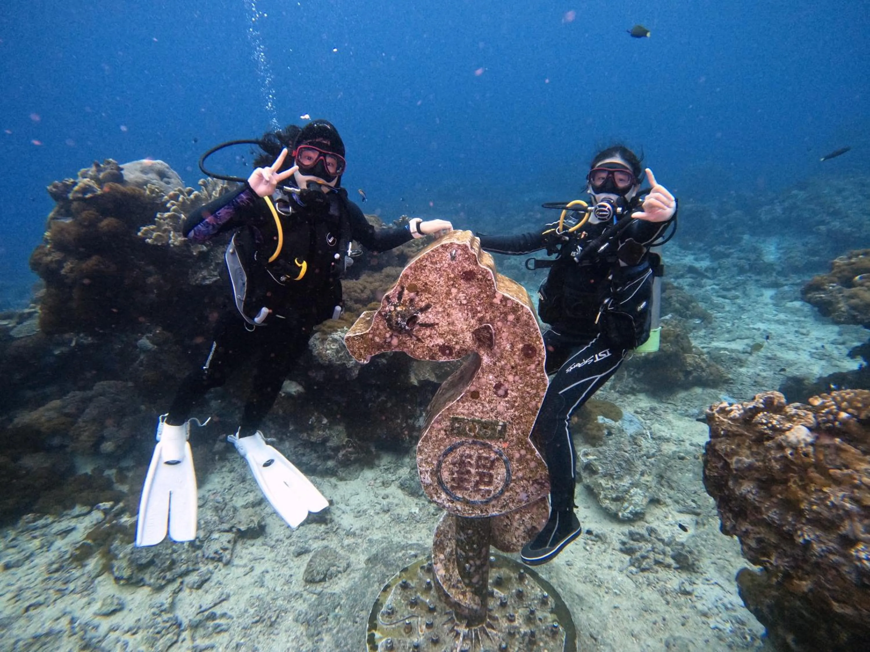 Diving in 綠島海灣會館Bay Resort