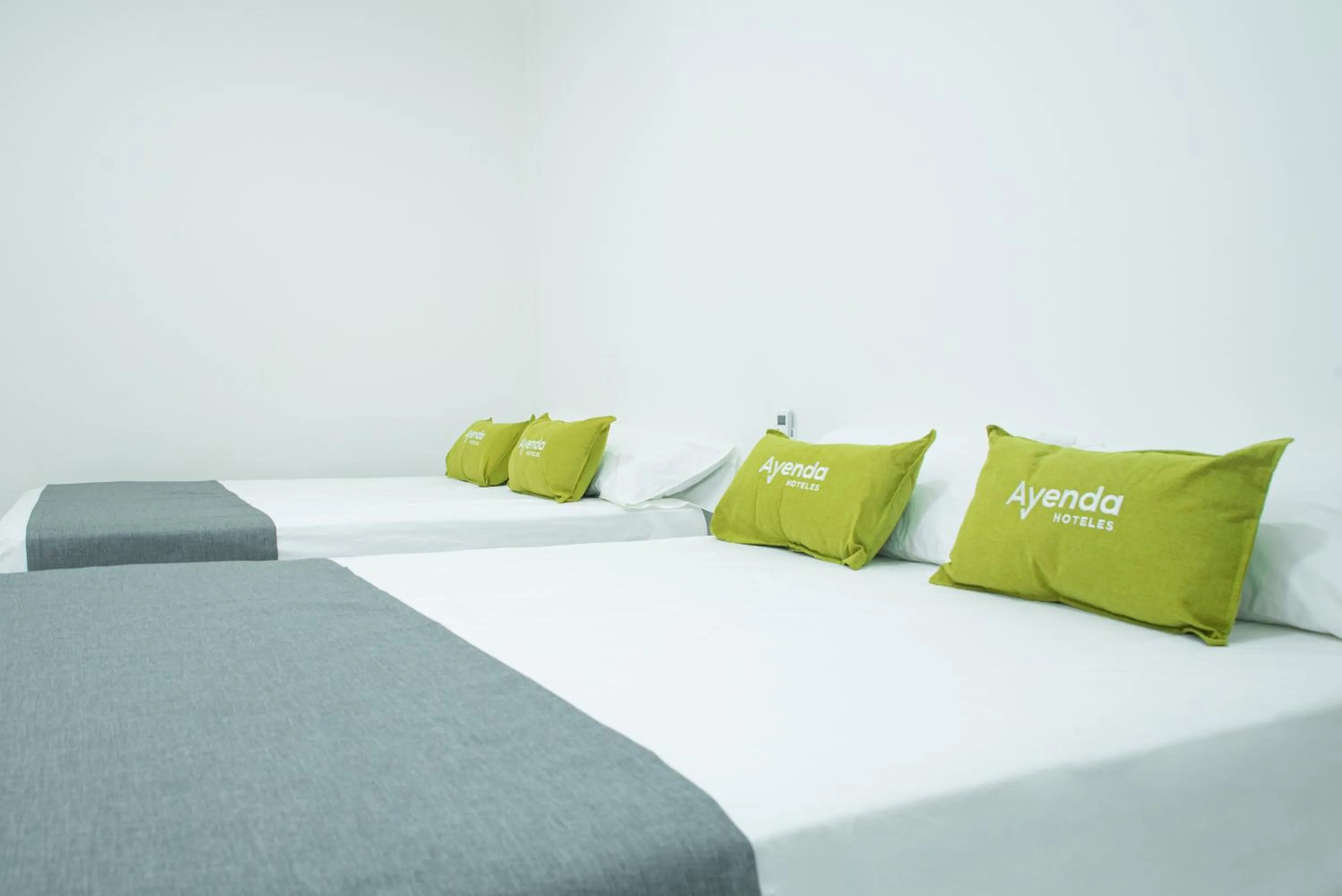 Hotel Ayenda House Concepción 1317