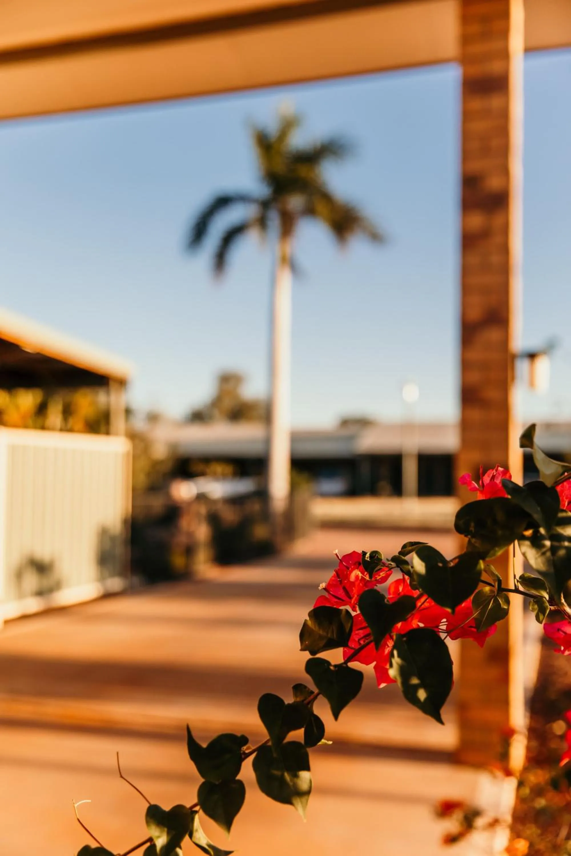 Property building in Abacus Motel