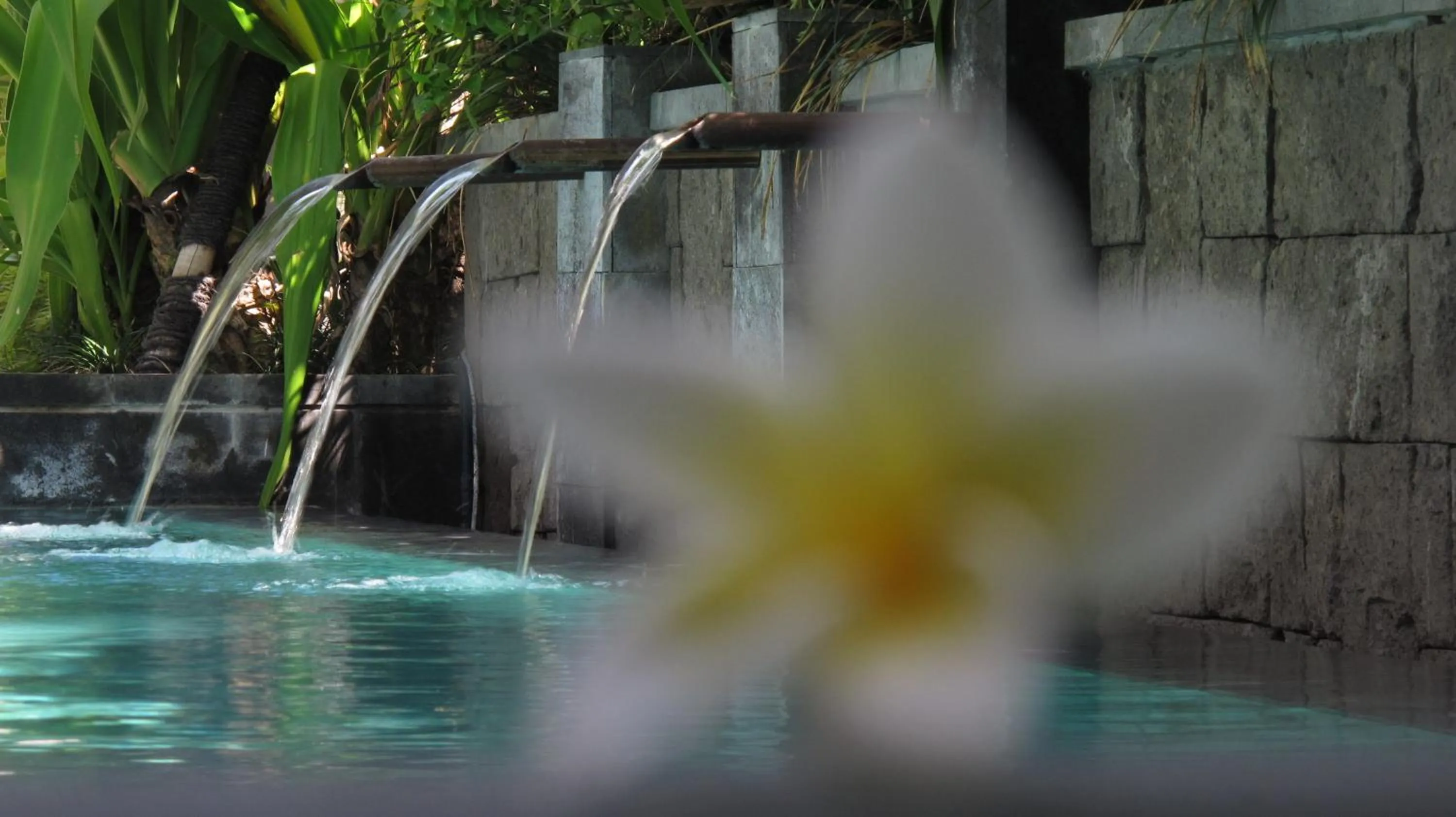 Swimming pool in hu'u Villas