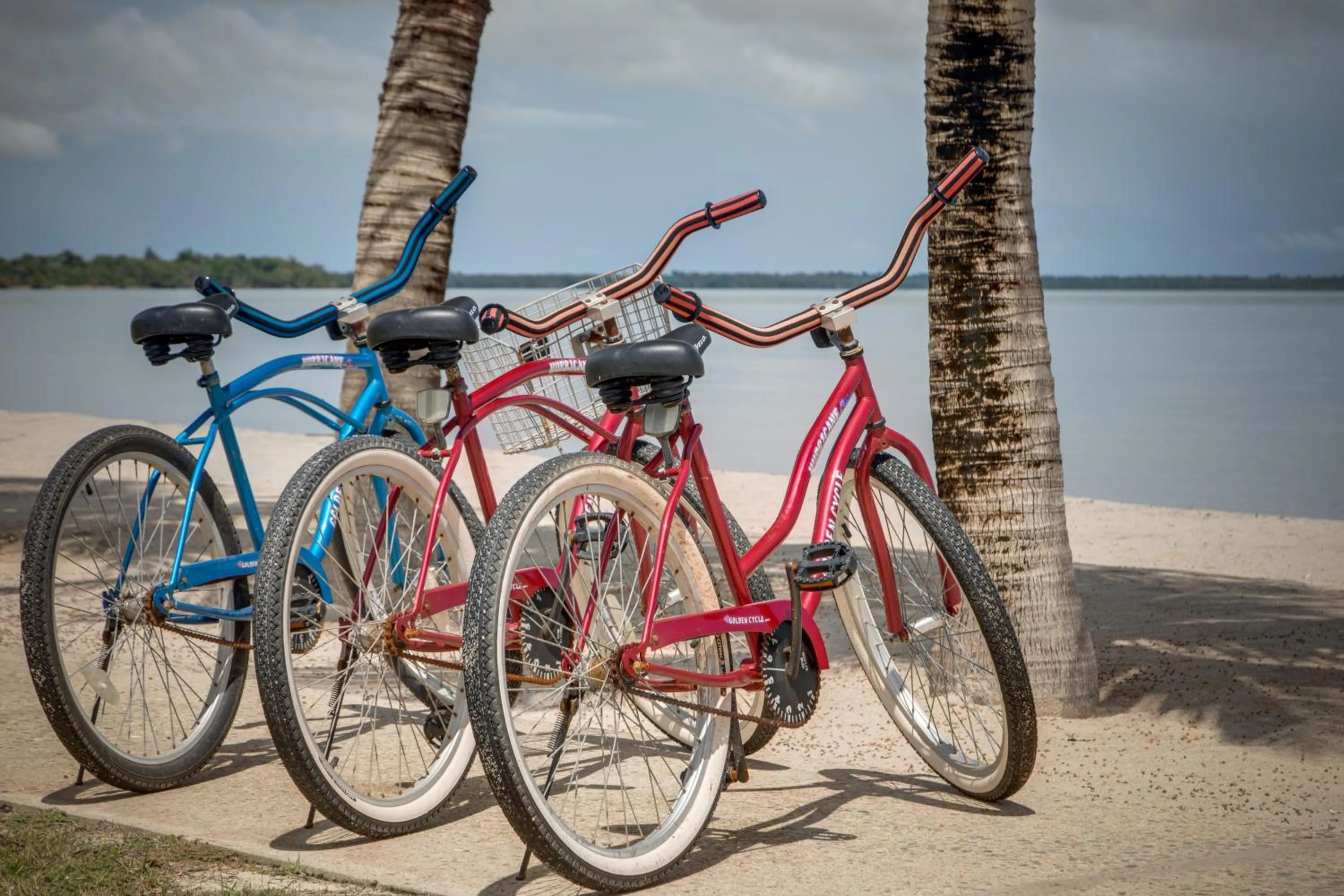 Cycling in Seiri del Mar