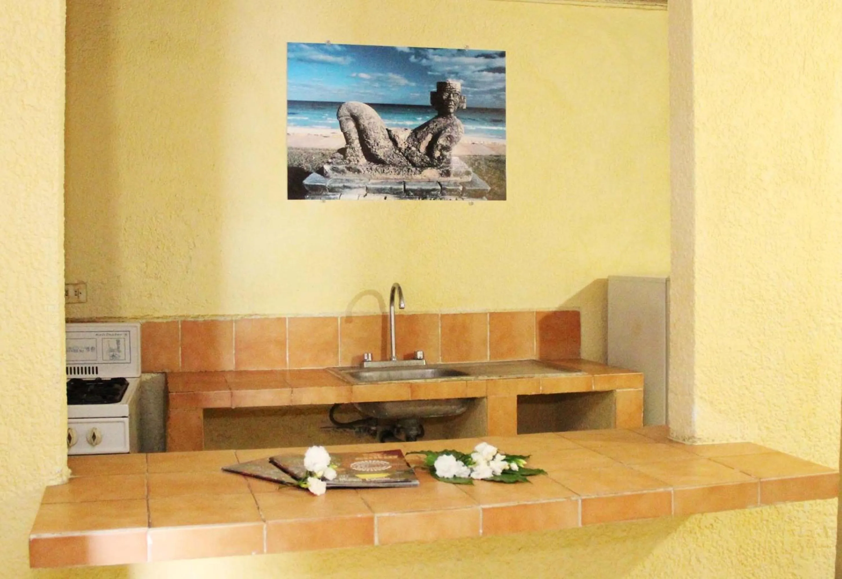 Kitchen or kitchenette in Hotel Suites Elia Noemi