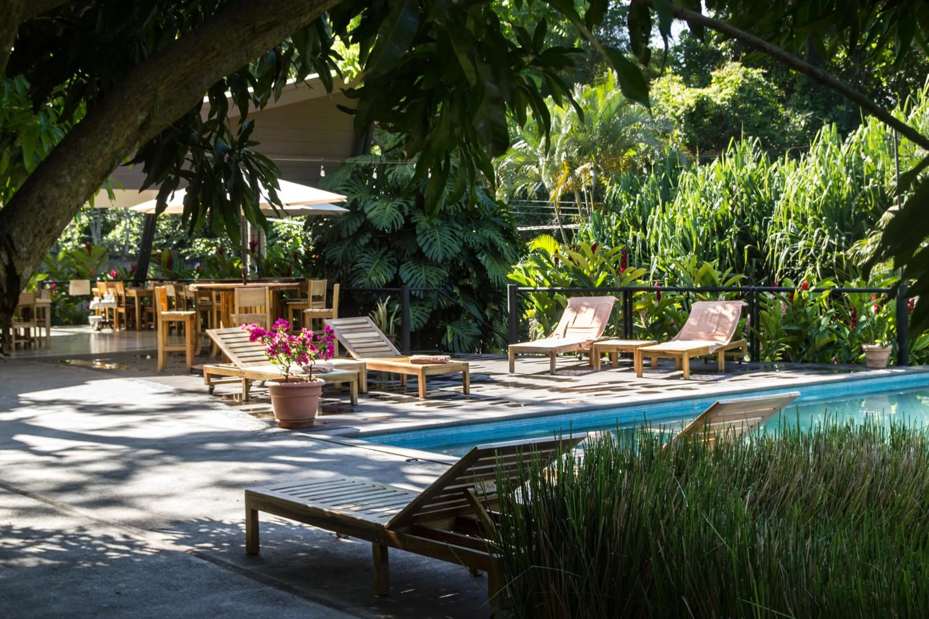 Swimming pool in Guácima Escondida Hotel Boutique