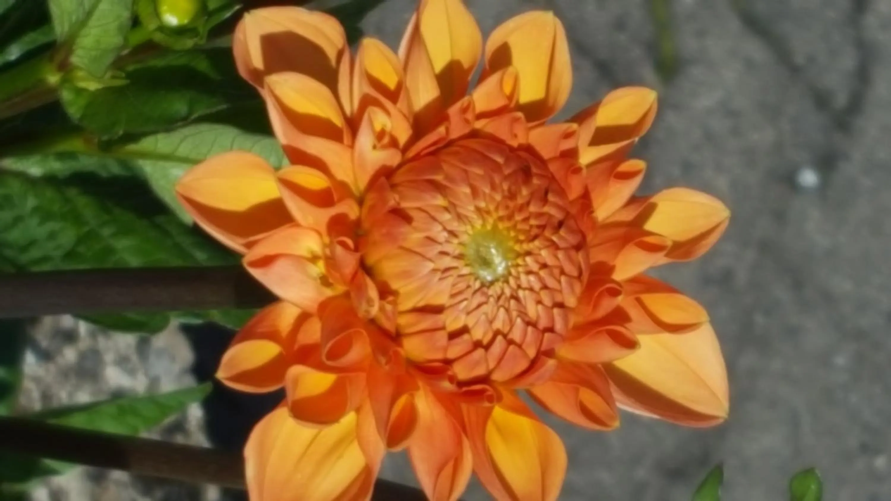 Day in Hotel zur Schmiede