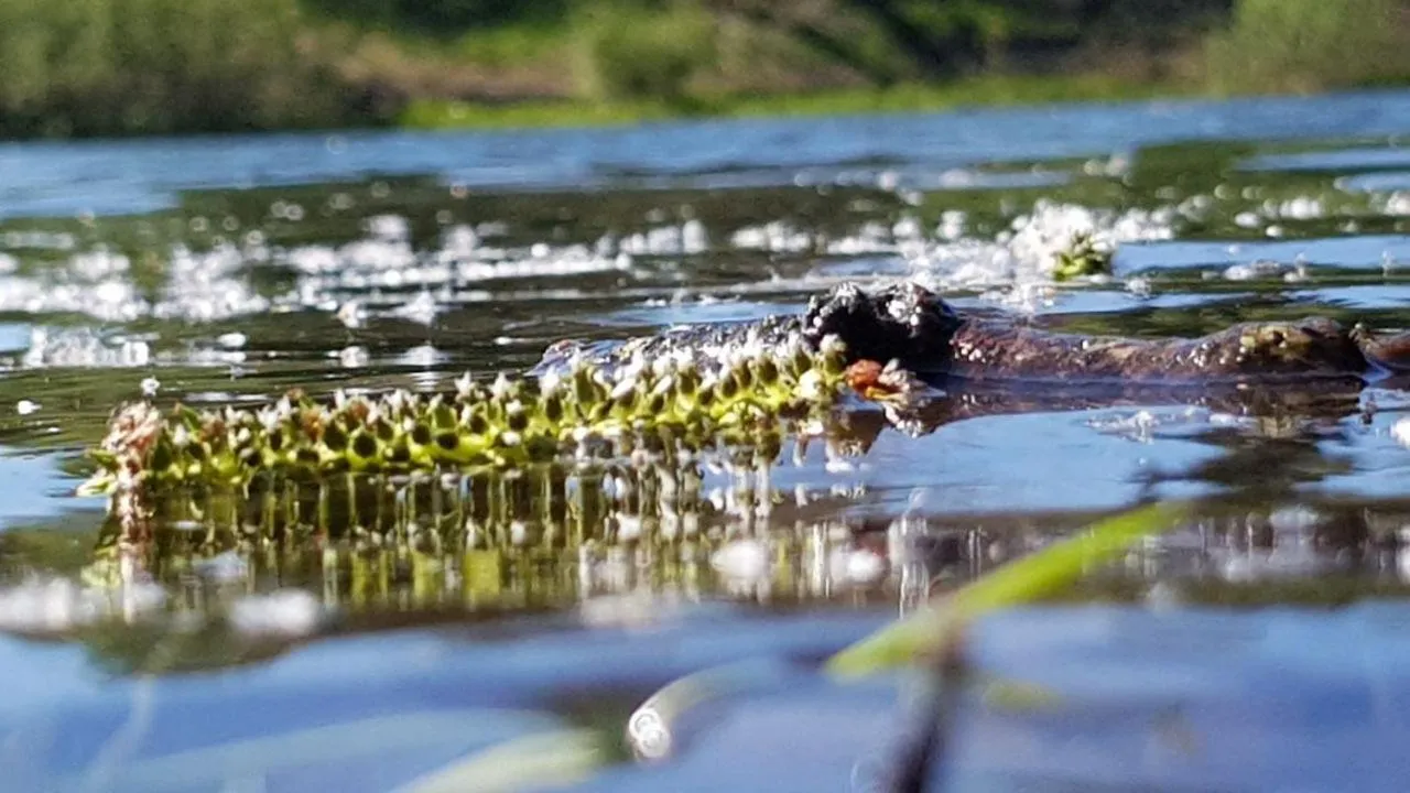 Day in Hotel zur Schmiede